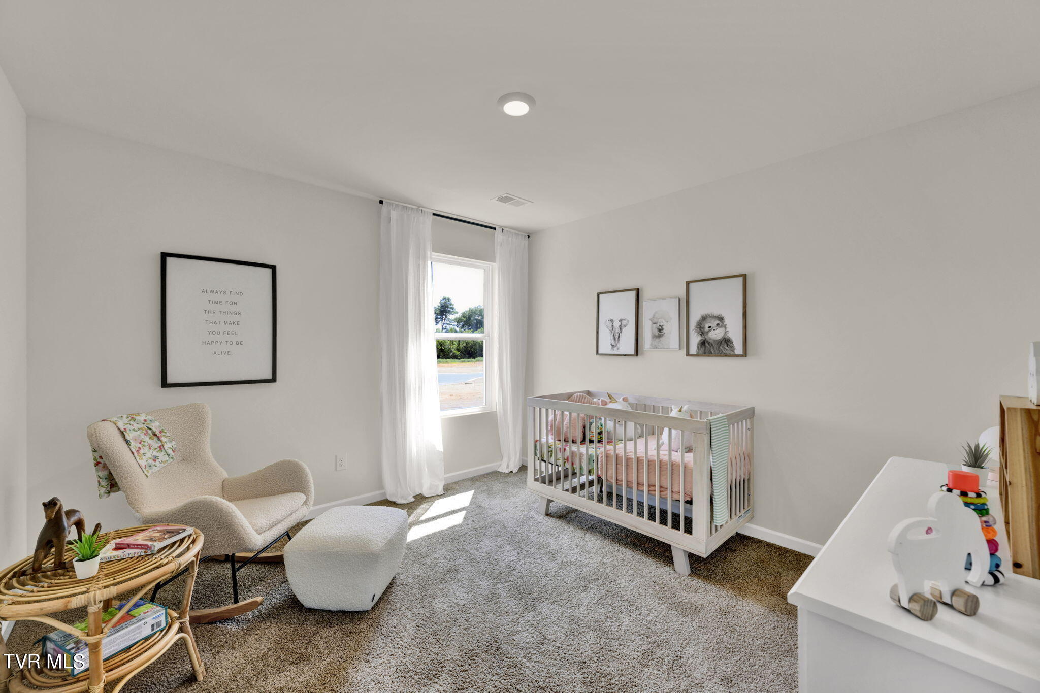 232 Chimney View Loop Blountville, TN 37617 - Photo 29 of 39 23-web-or-mls-_DSC8496-20-20