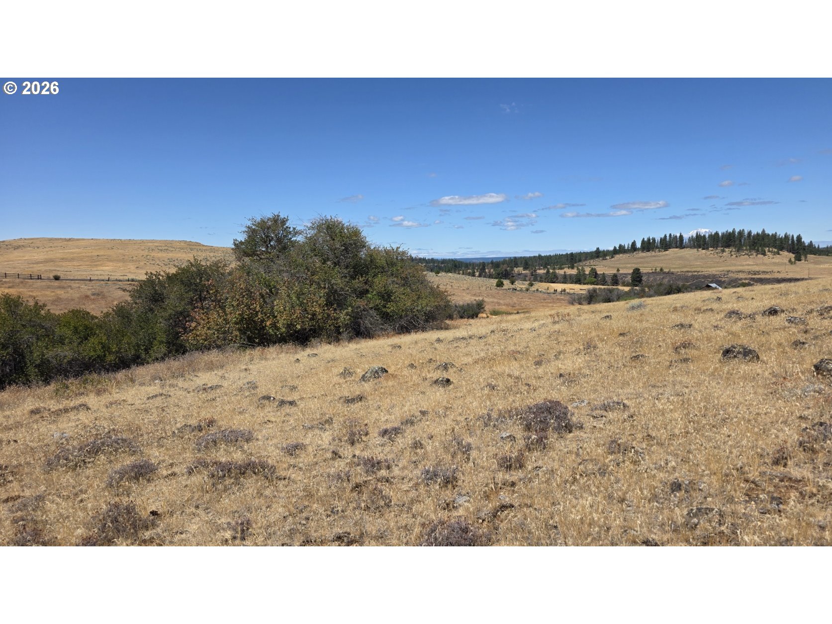 Olson Road, Unit 3 Centerville, WA 98613 - Photo 16 of 31 Gallery Image 16