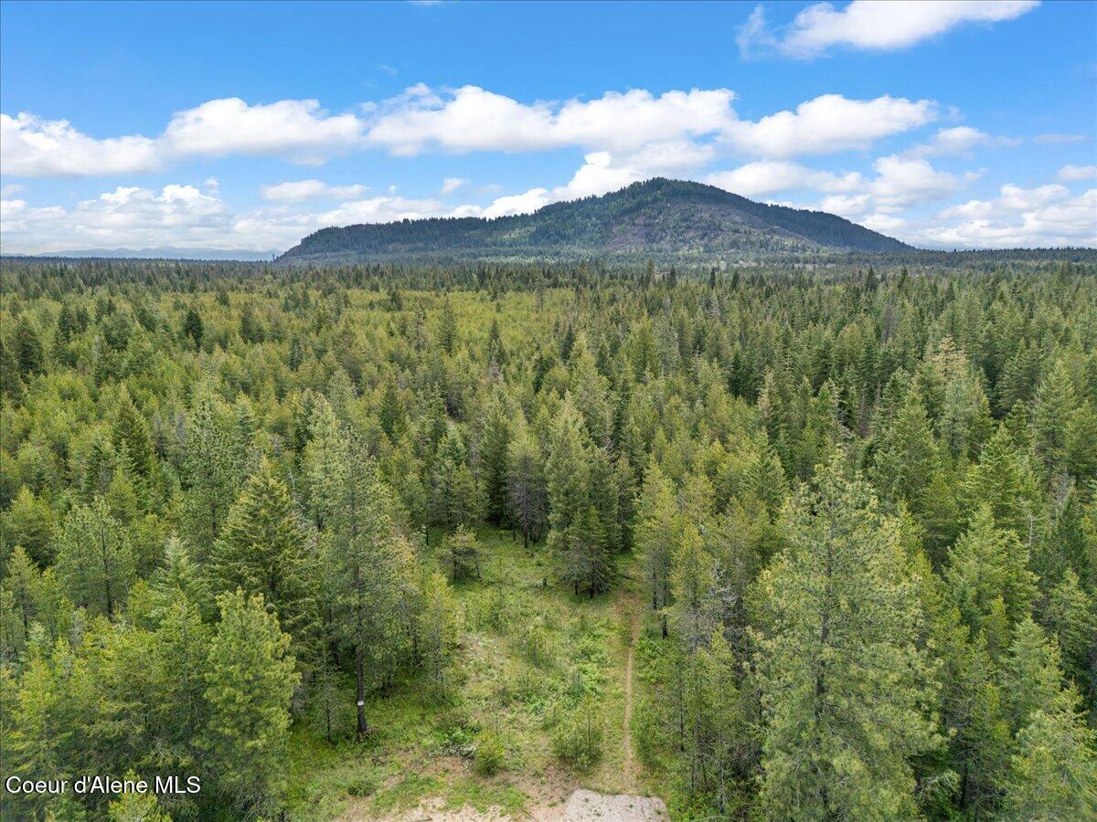 Nka Nka Nikoma Road, Unit 10 Rathdrum, ID 83858 - Photo 4 of 12 Mostly treed