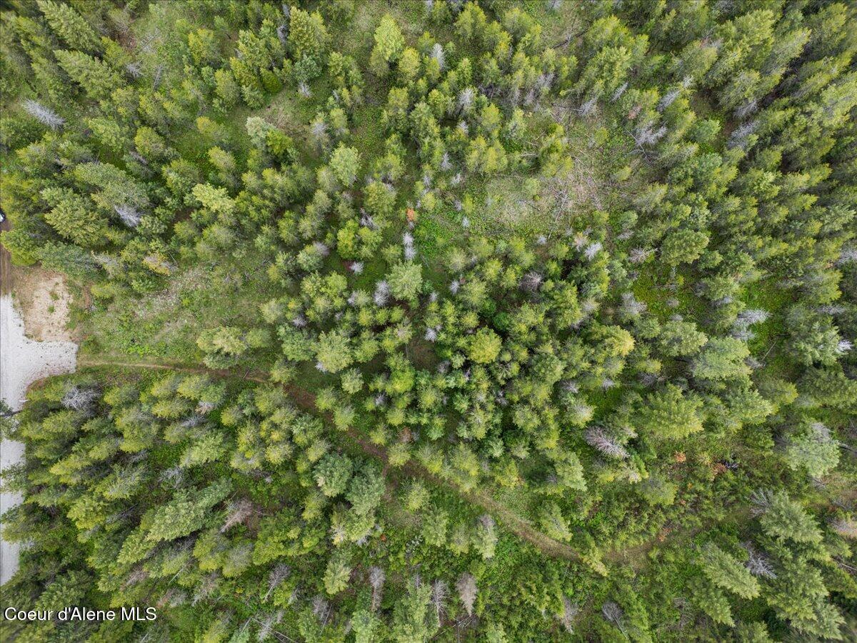 Nka Nka Nikoma Road, Unit 10 Rathdrum, ID 83858 - Photo 9 of 12 Birds eye view