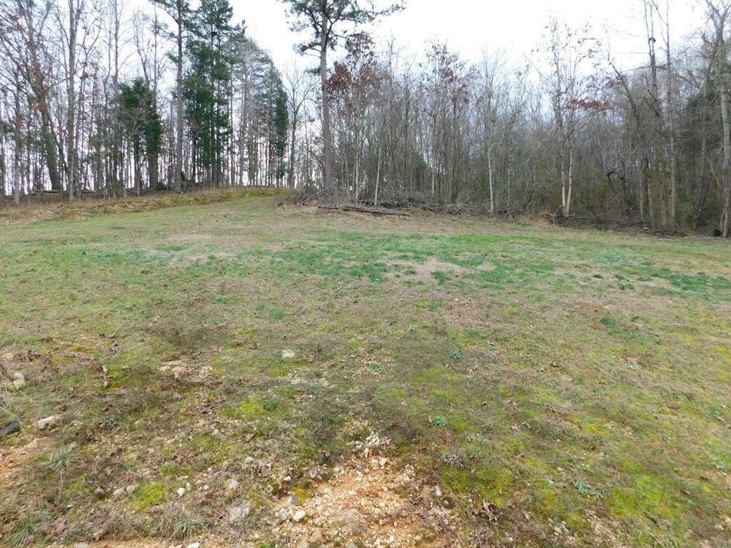 227 Sunshine Lane Decatur, TN 37322 - Photo 31 of 35 Gallery Image 31