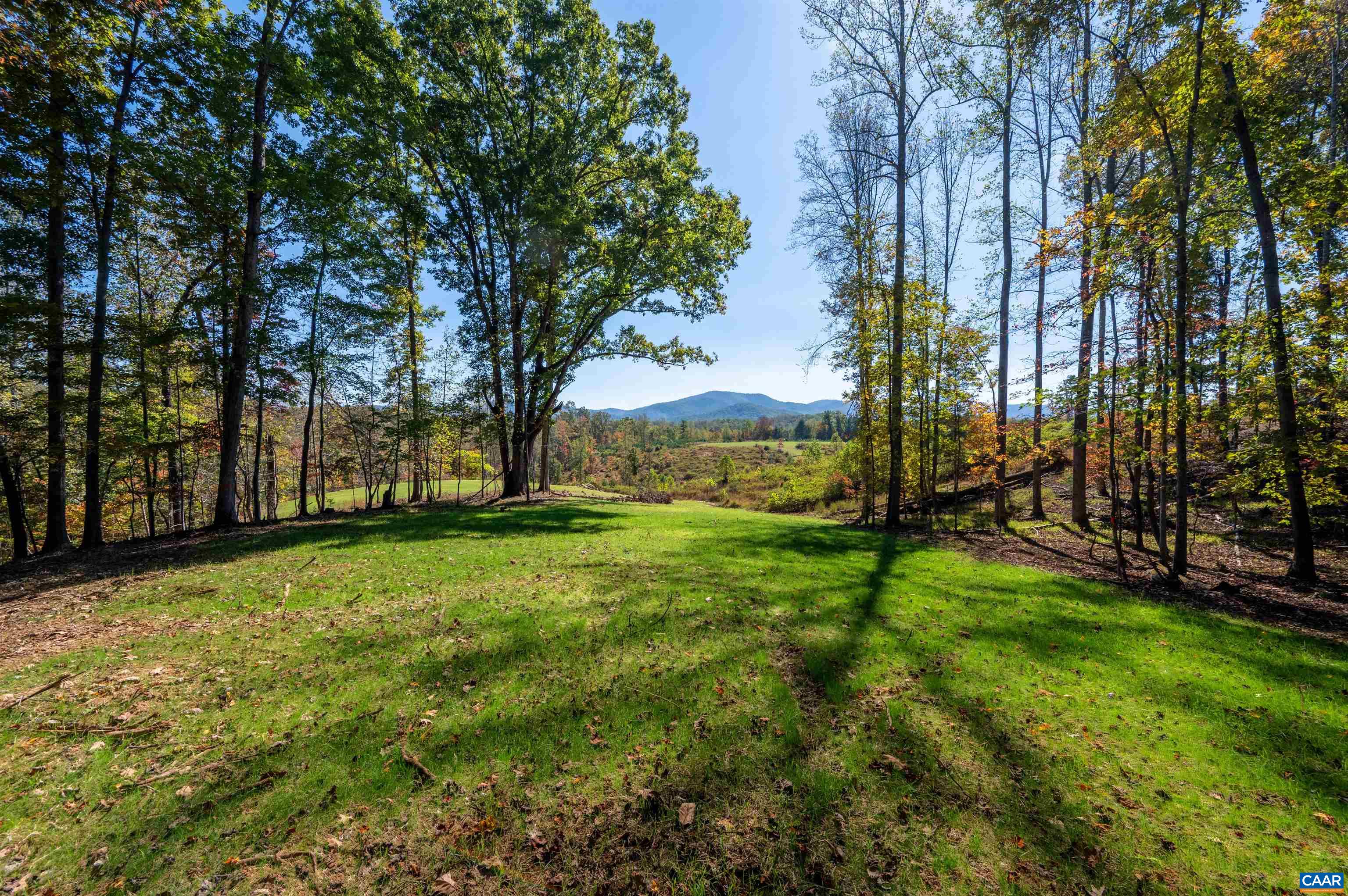 3 Dick Woods Road Afton, VA 22920 - Photo 22 of 29 View from home site