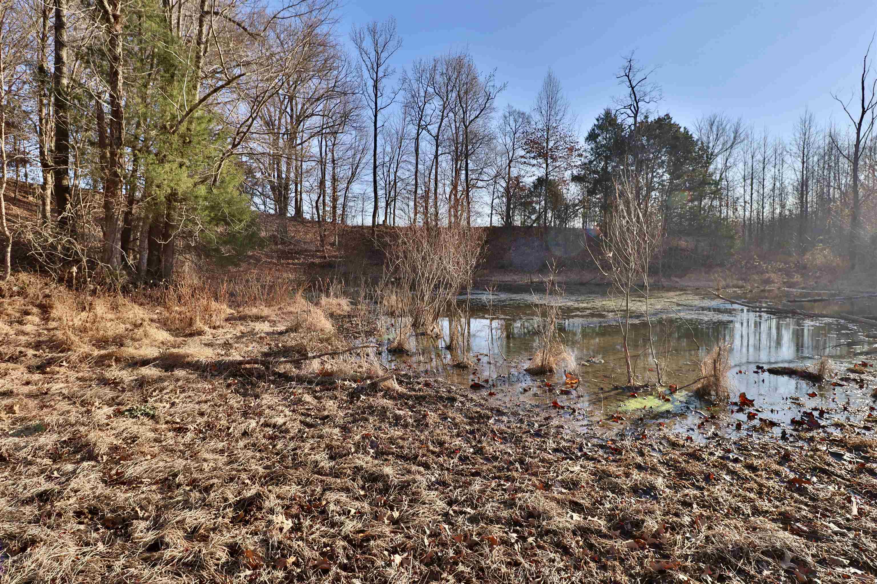 0 Barlow Road Ripley, TN 38063 - Photo 11 of 40