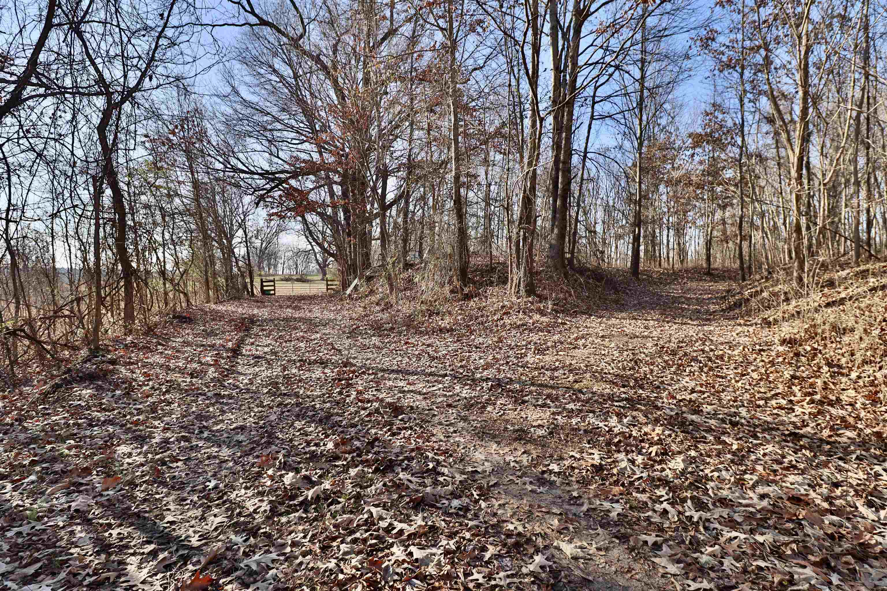 0 Barlow Road Ripley, TN 38063 - Photo 14 of 40