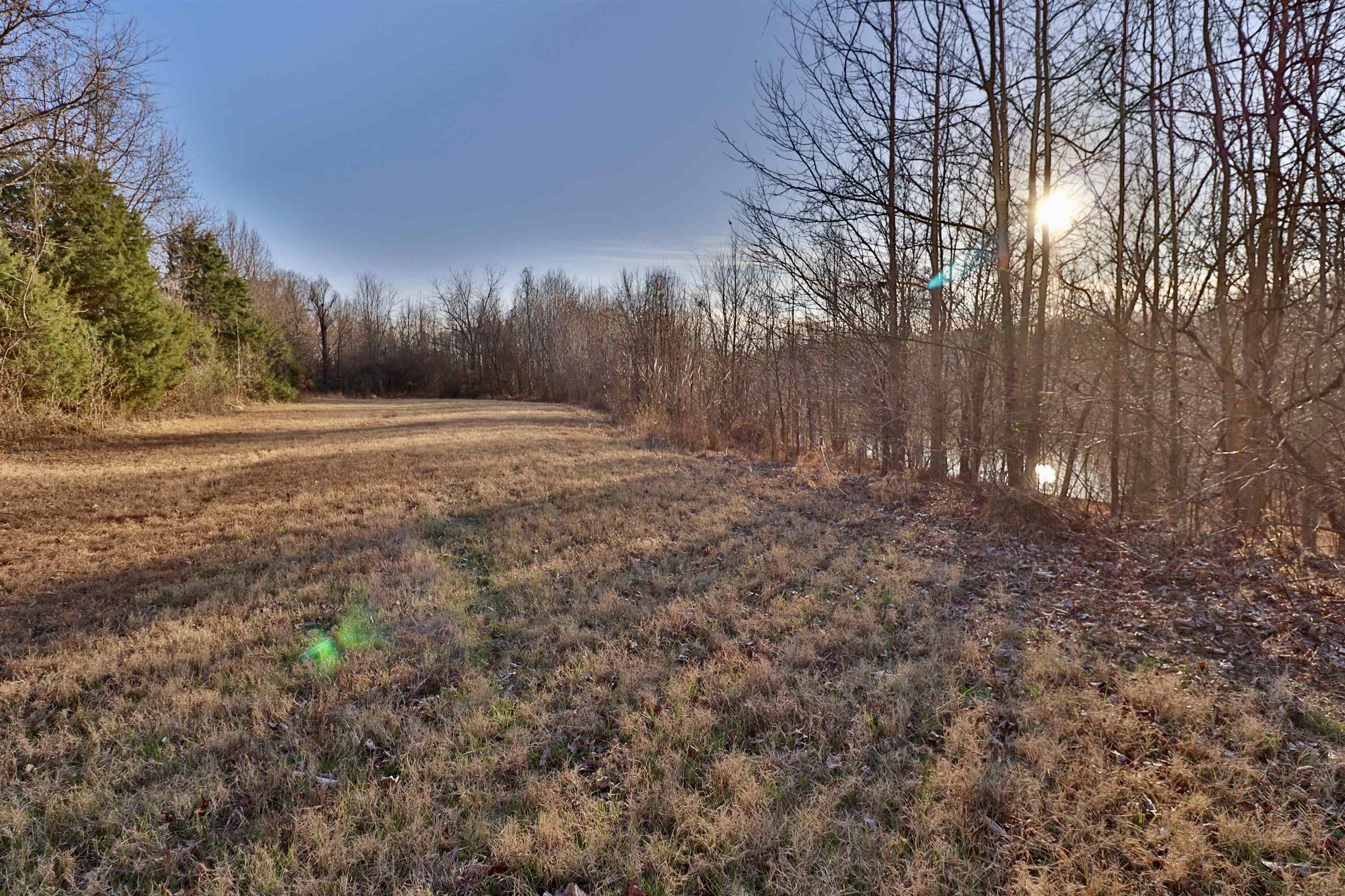 0 Barlow Road Ripley, TN 38063 - Photo 16 of 40