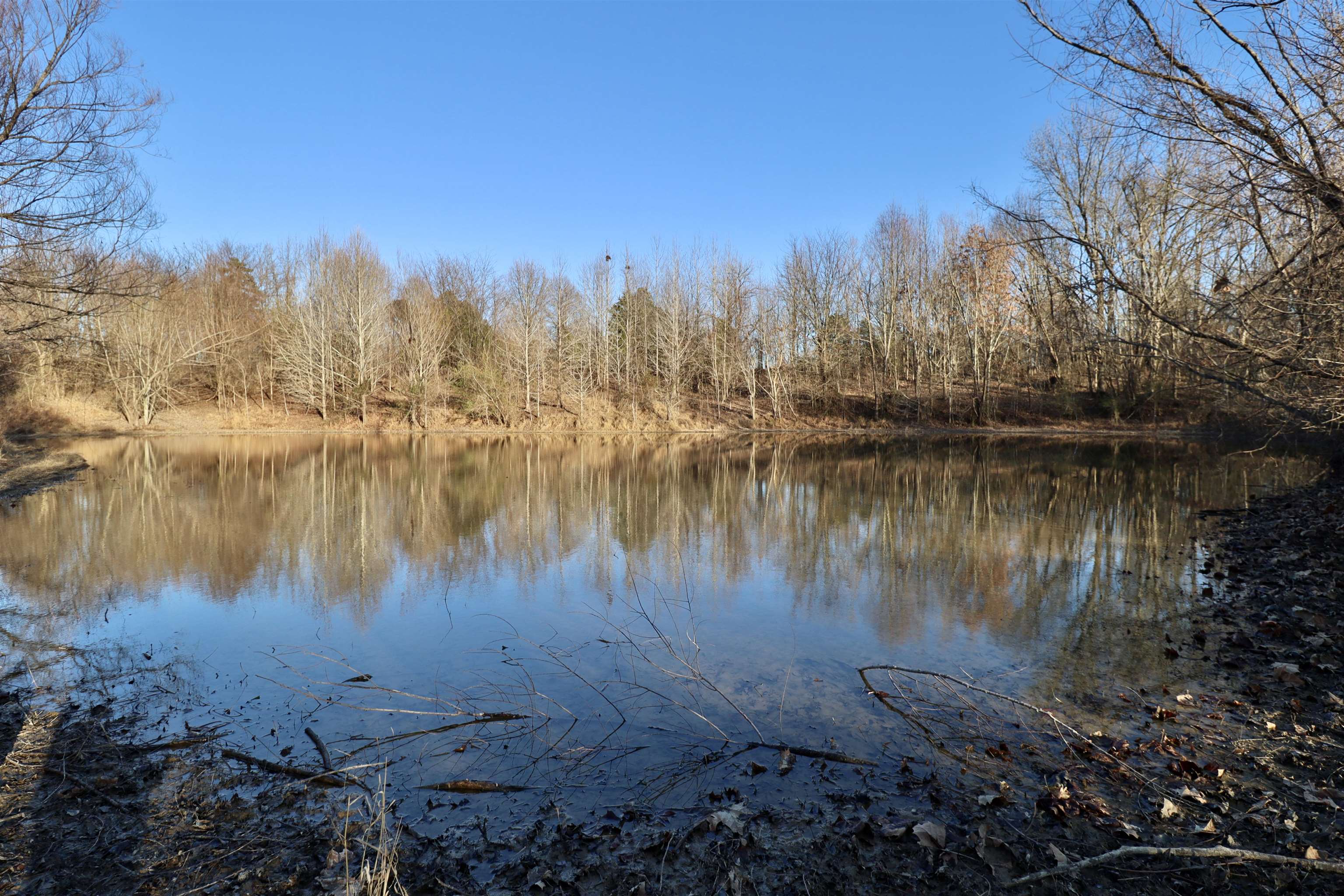 0 Barlow Road Ripley, TN 38063 - Photo 17 of 40