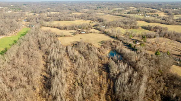 a view of a yard with a tree