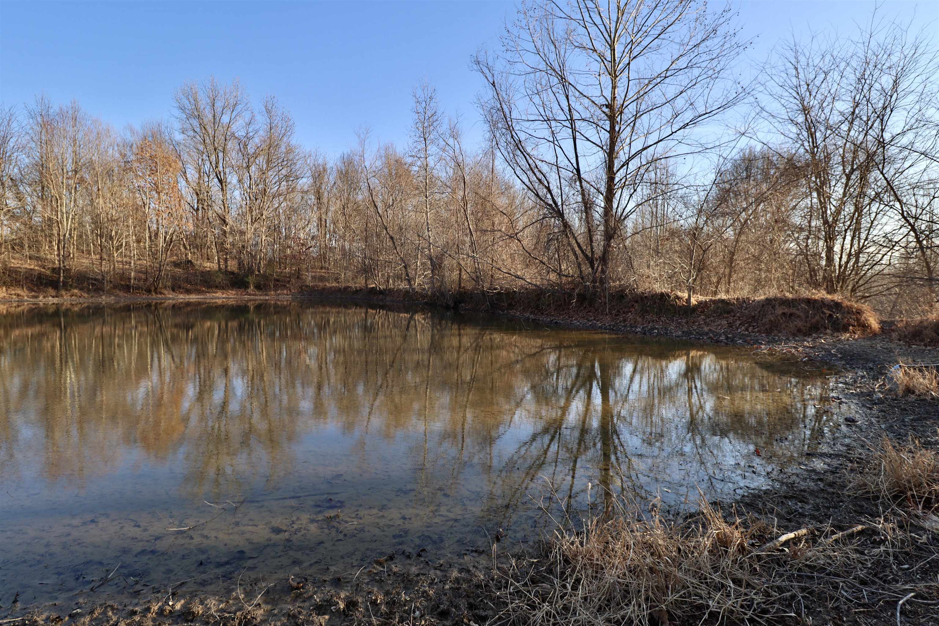 0 Barlow Road Ripley, TN 38063 - Photo 20 of 40