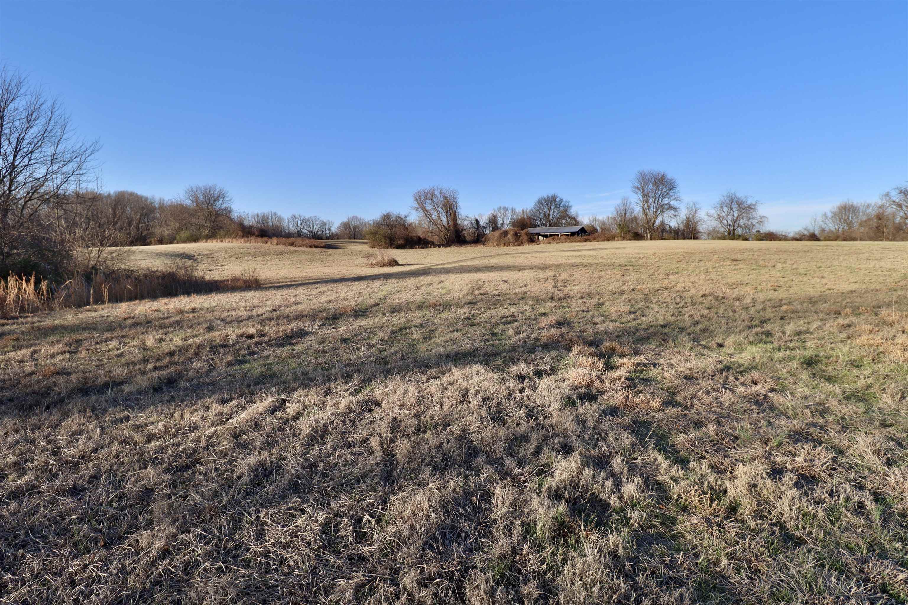 0 Barlow Road Ripley, TN 38063 - Photo 23 of 40