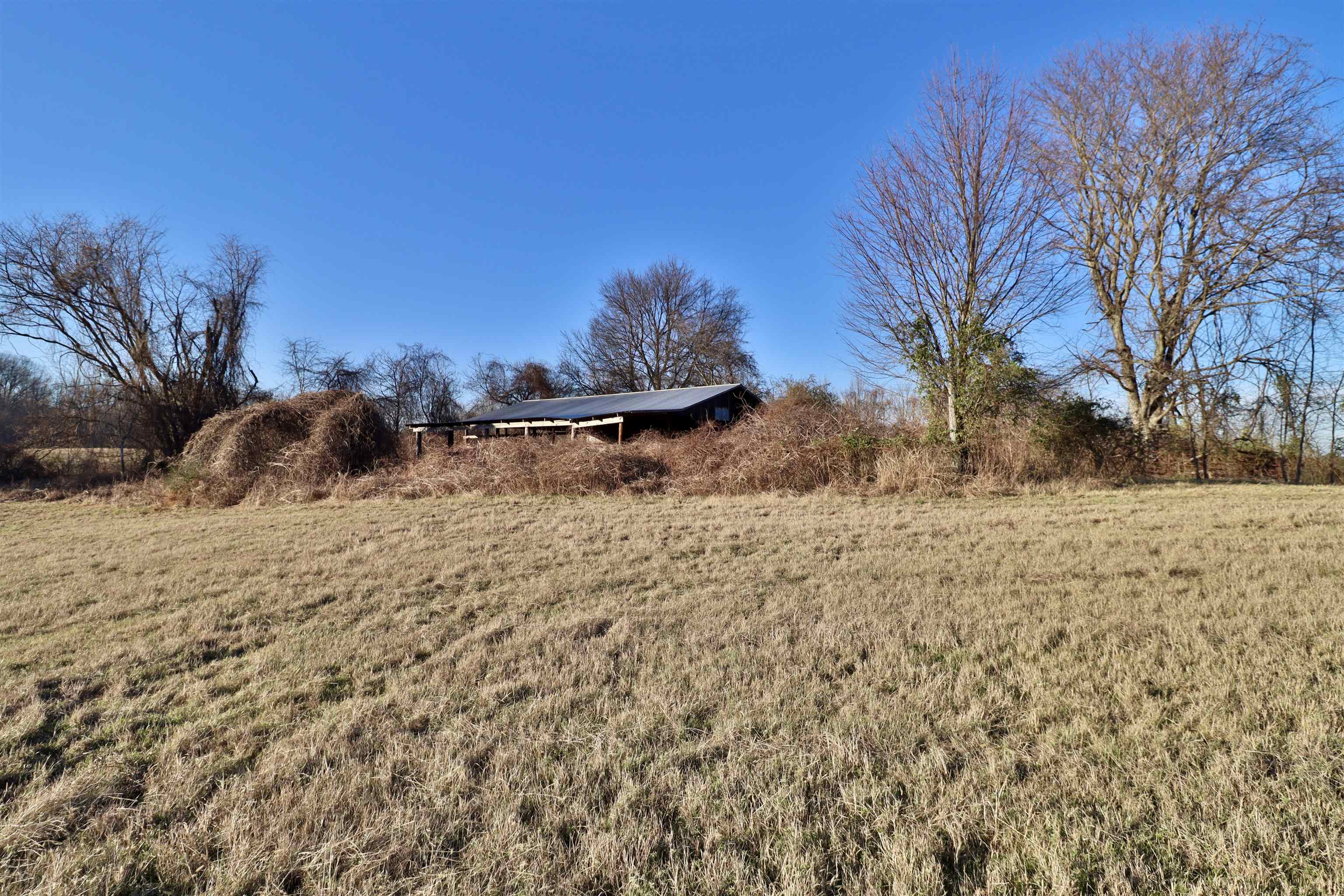 0 Barlow Road Ripley, TN 38063 - Photo 24 of 40