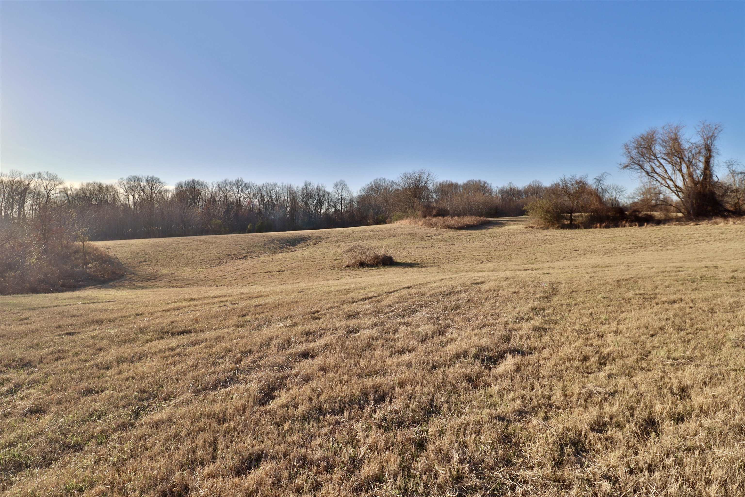 0 Barlow Road Ripley, TN 38063 - Photo 27 of 40