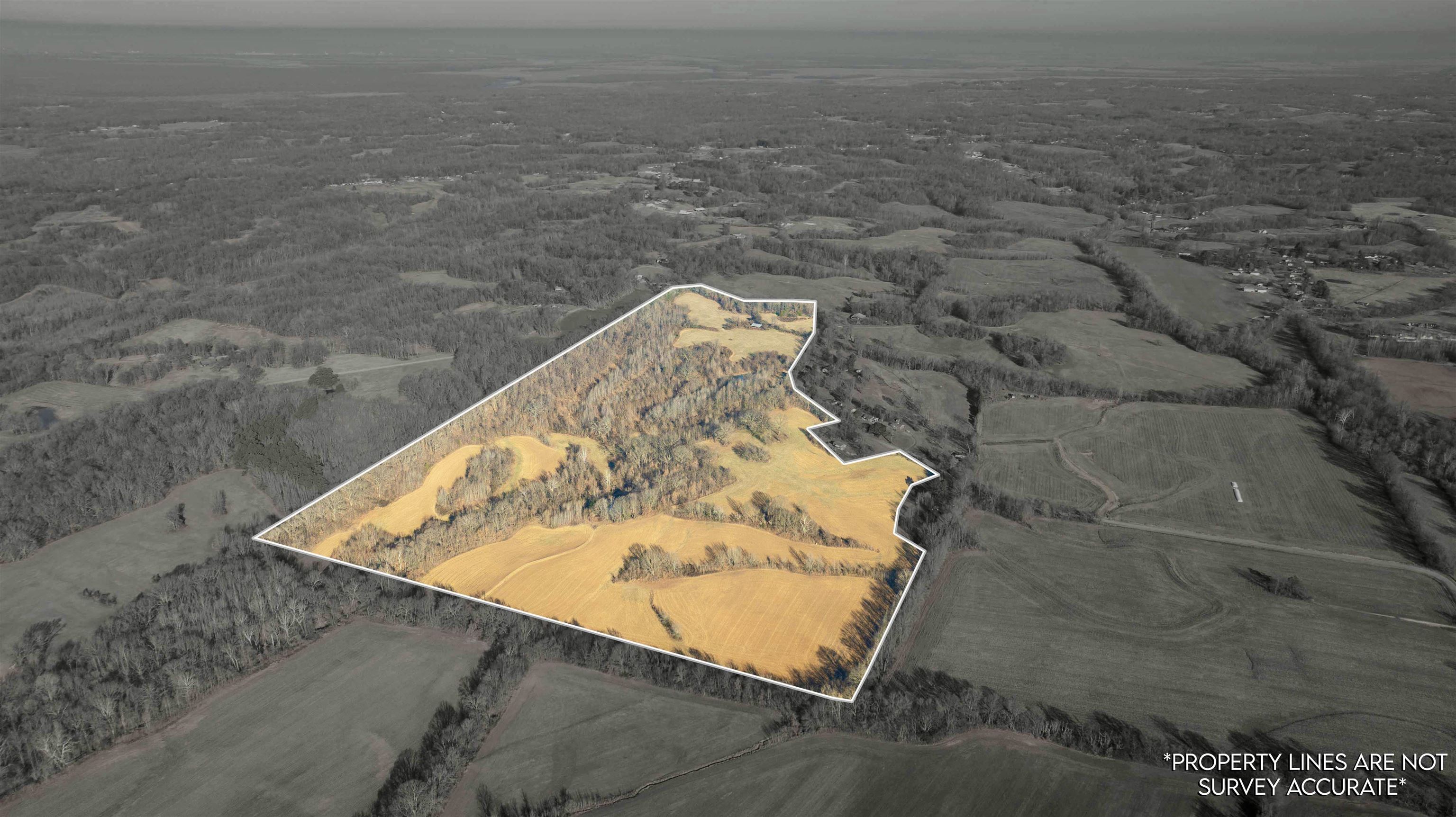 0 Barlow Road Ripley, TN 38063 - Photo 29 of 40