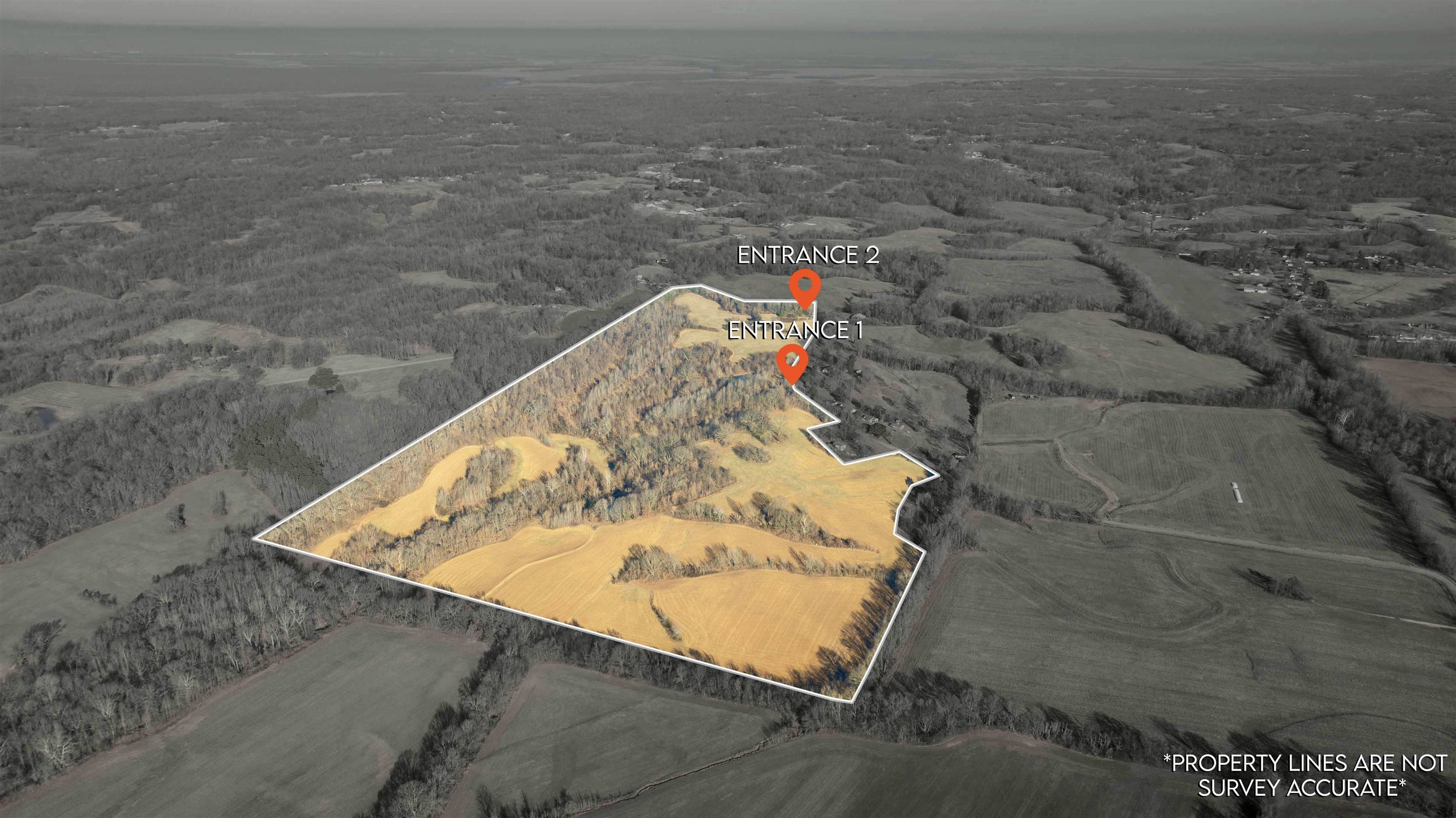 0 Barlow Road Ripley, TN 38063 - Photo 3 of 40