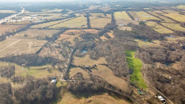a view of dirt yard with a large tree