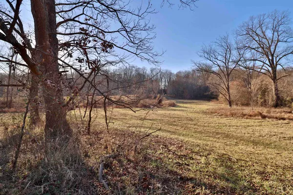 a view of mountain view with trees