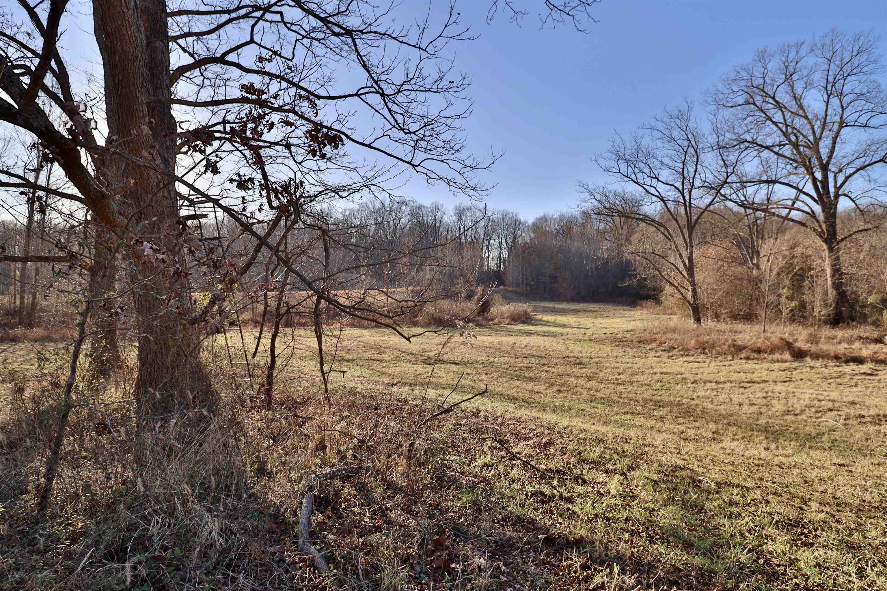 0 Barlow Road Ripley, TN 38063 - Photo 33 of 40