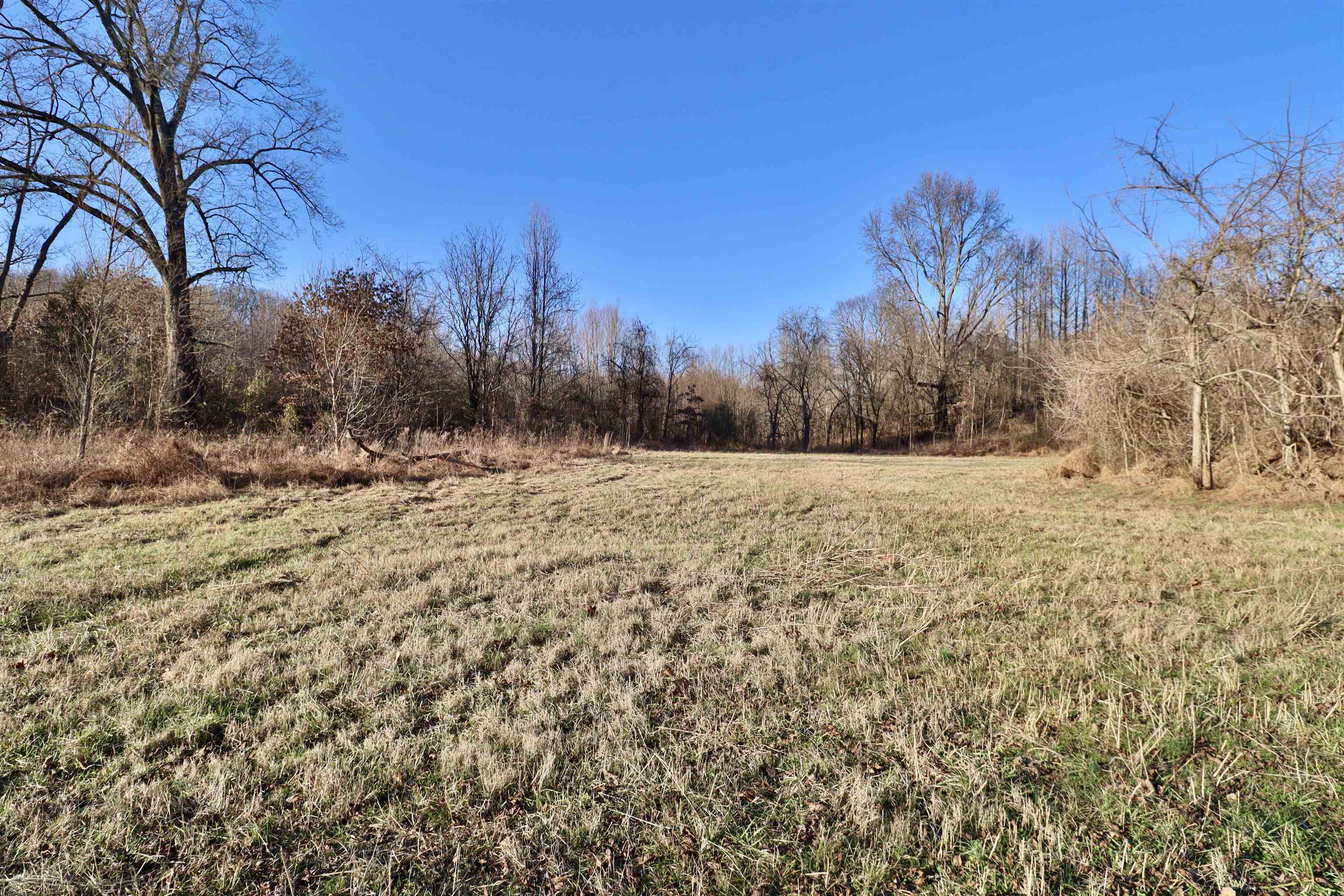 0 Barlow Road Ripley, TN 38063 - Photo 35 of 40