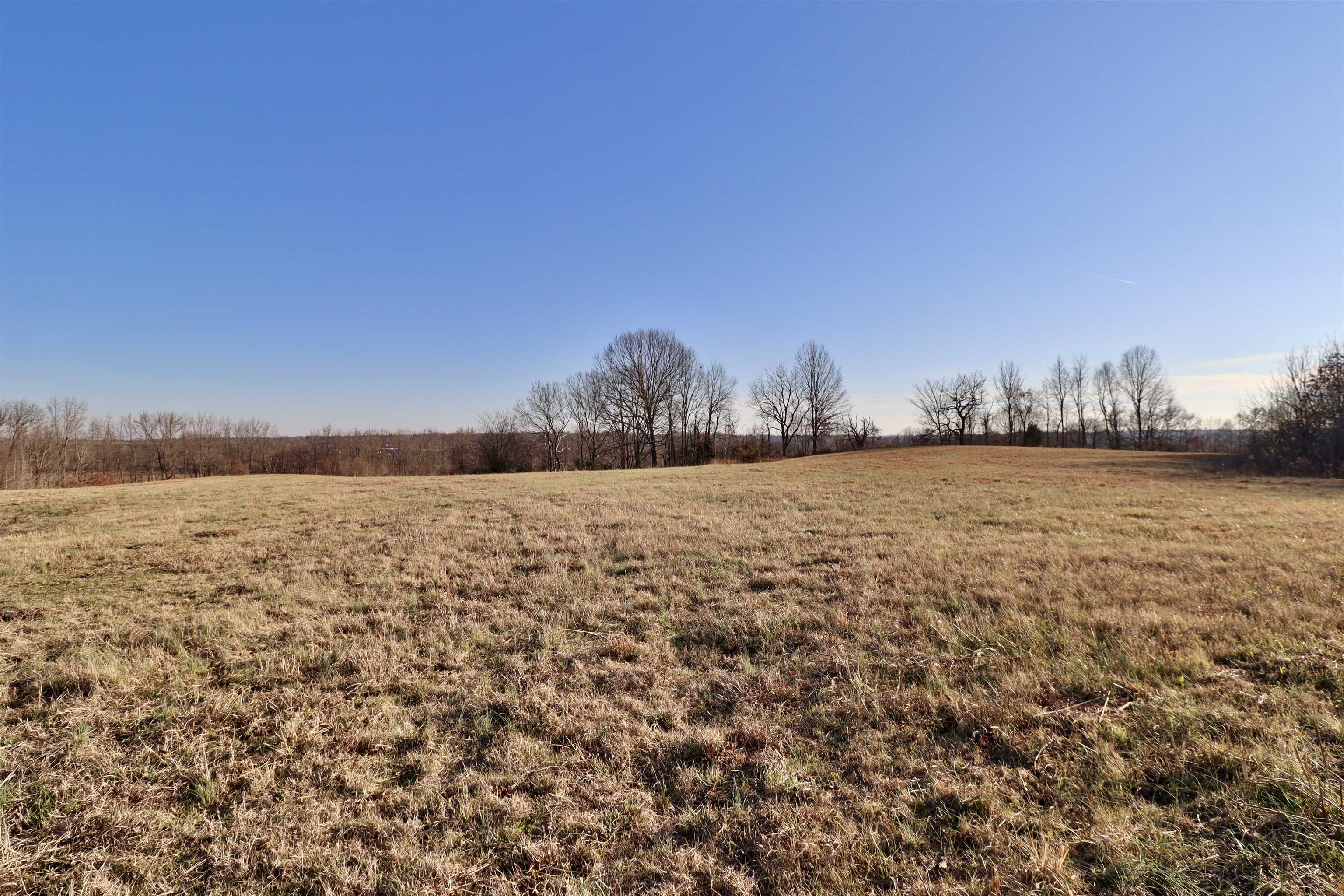 0 Barlow Road Ripley, TN 38063 - Photo 37 of 40