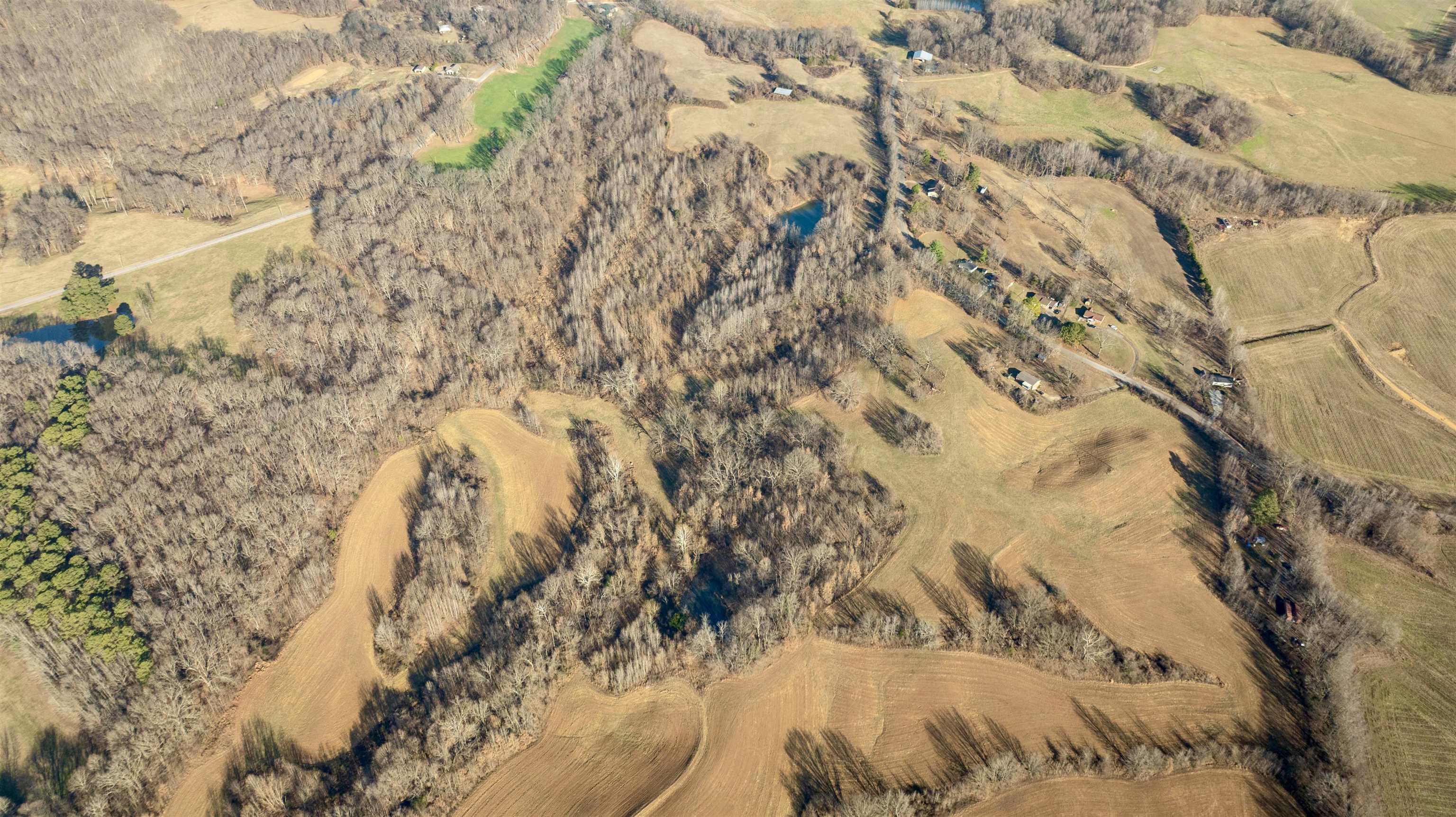 0 Barlow Road Ripley, TN 38063 - Photo 39 of 40