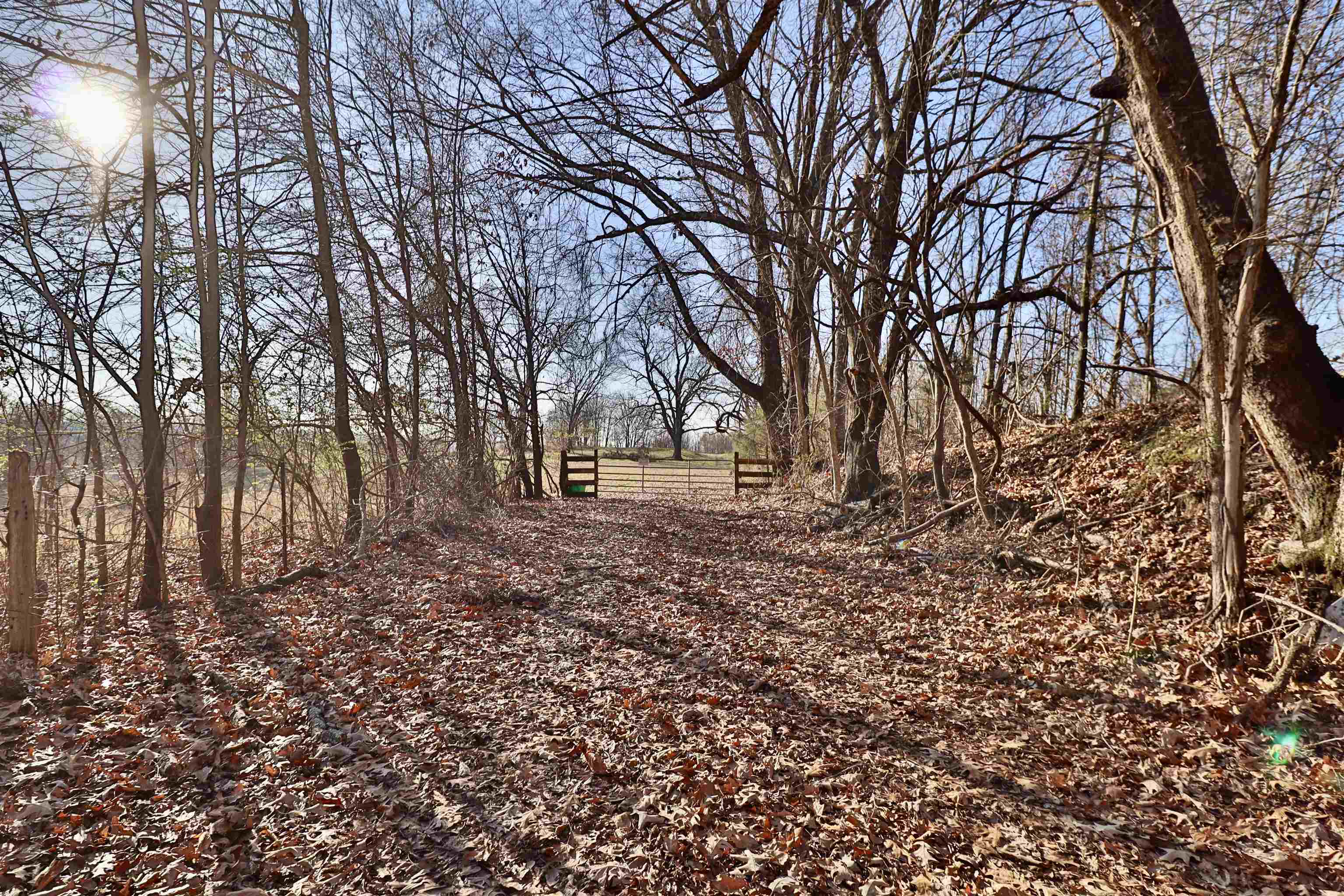 0 Barlow Road Ripley, TN 38063 - Photo 4 of 40