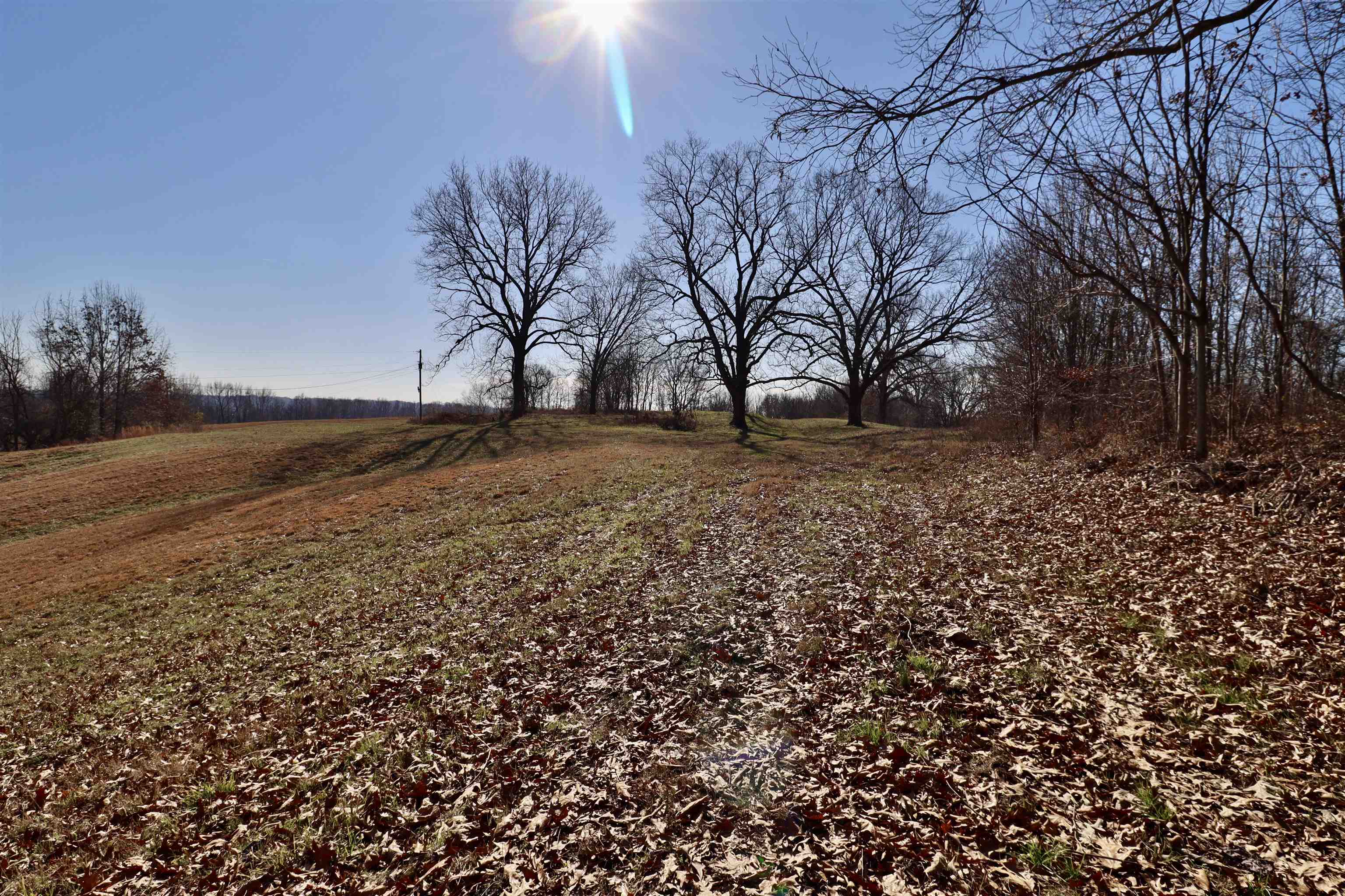 0 Barlow Road Ripley, TN 38063 - Photo 5 of 40