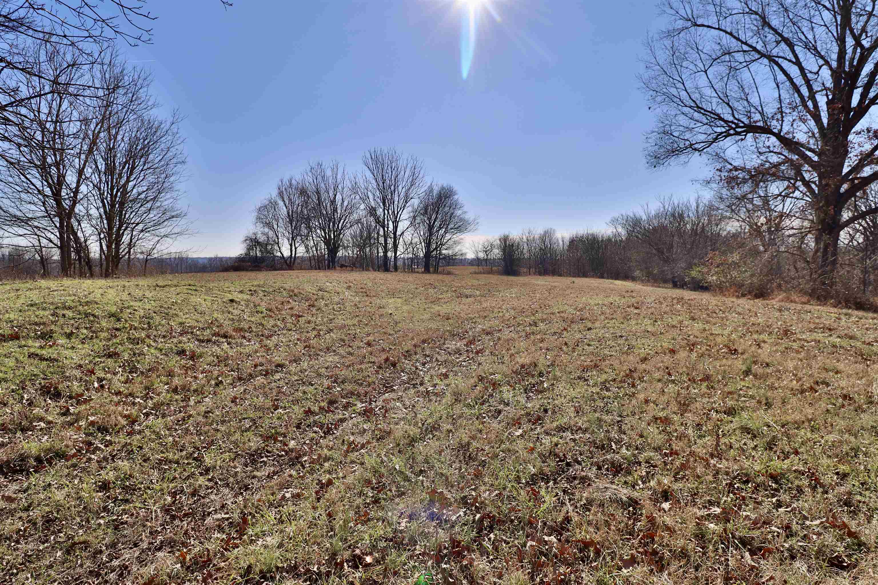 0 Barlow Road Ripley, TN 38063 - Photo 6 of 40