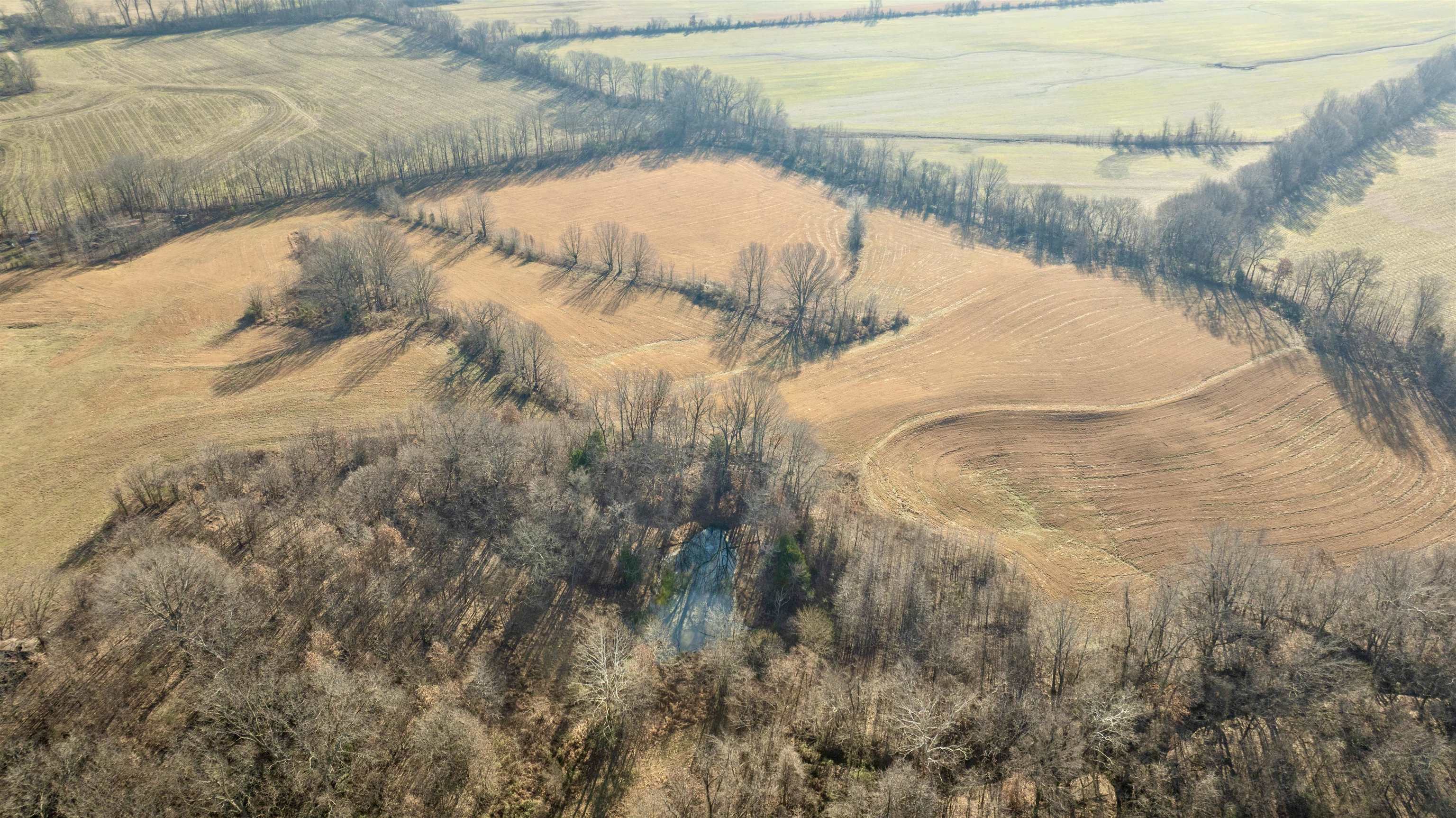 0 Barlow Road Ripley, TN 38063 - Photo 8 of 40