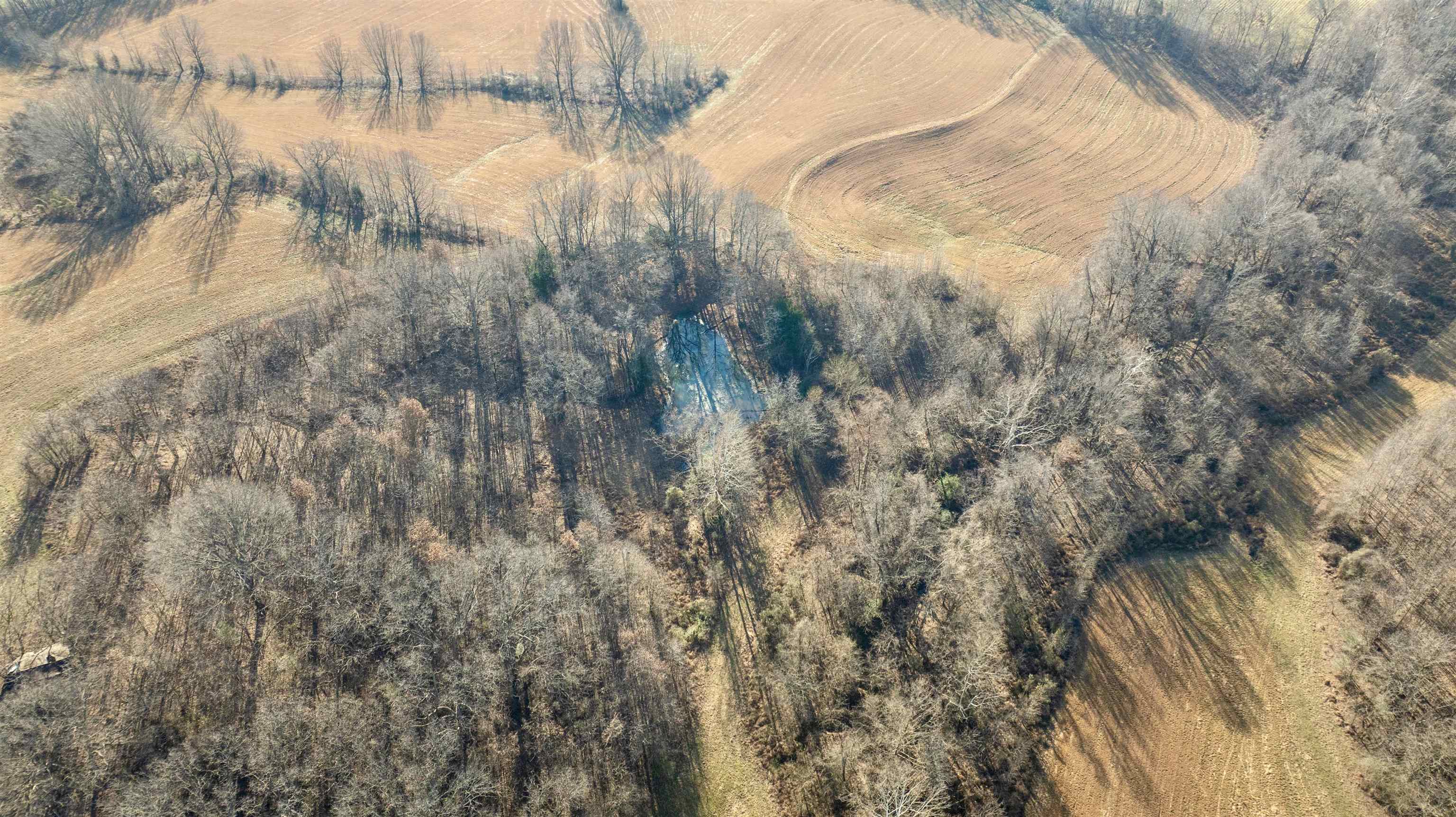 0 Barlow Road Ripley, TN 38063 - Photo 9 of 40