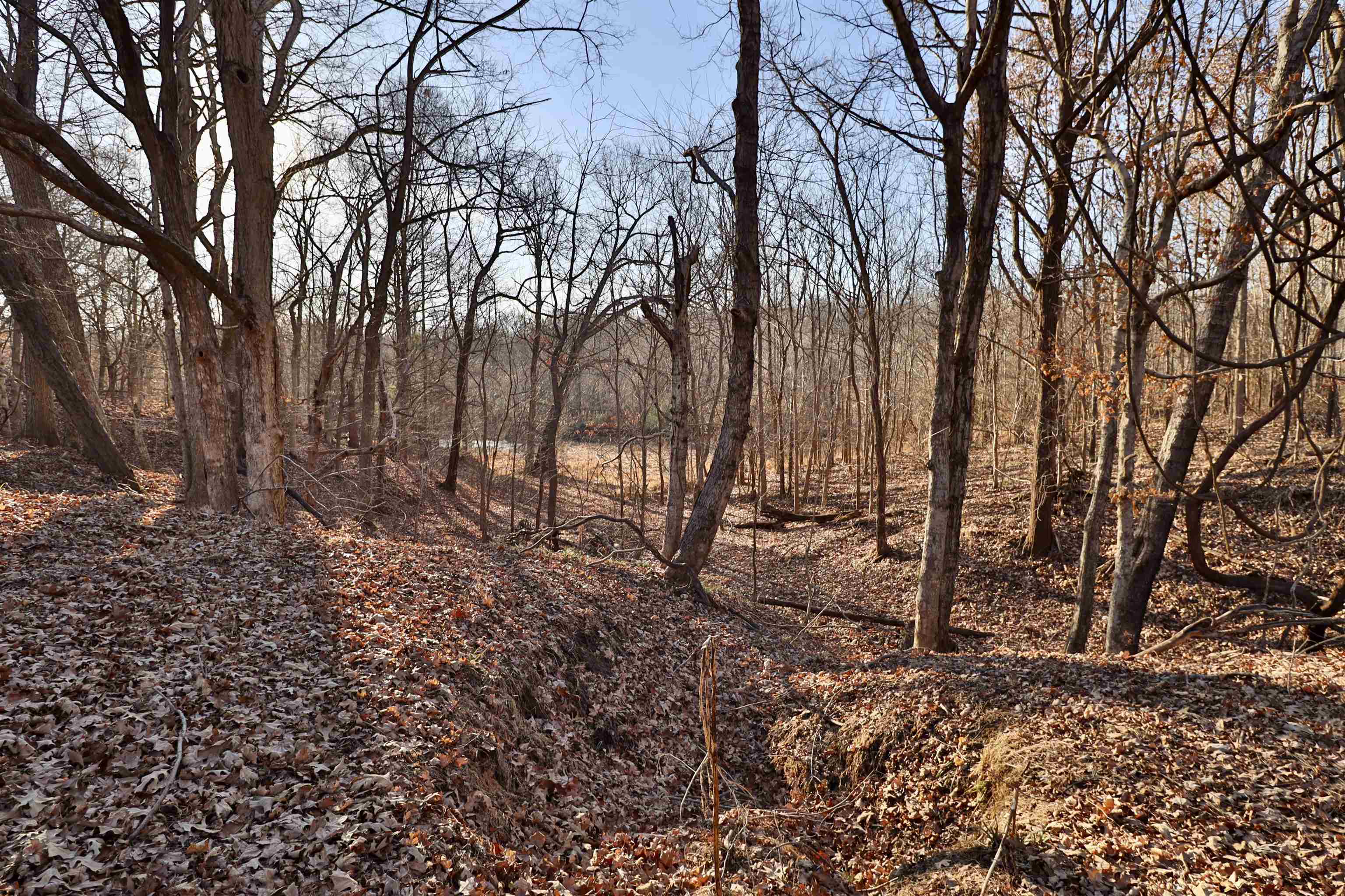 0 Barlow Road Ripley, TN 38063 - Photo 10 of 40