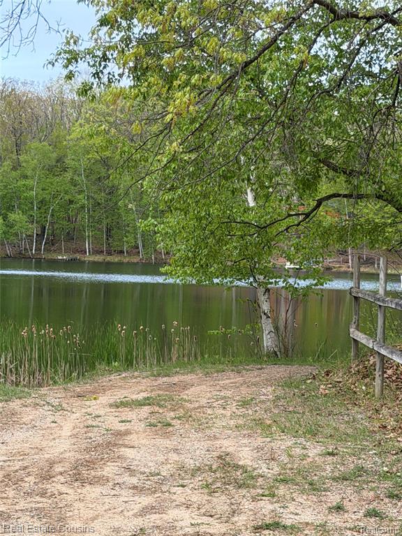 4701 Lake Road Farwell, MI 48622 - Photo 24 of 24