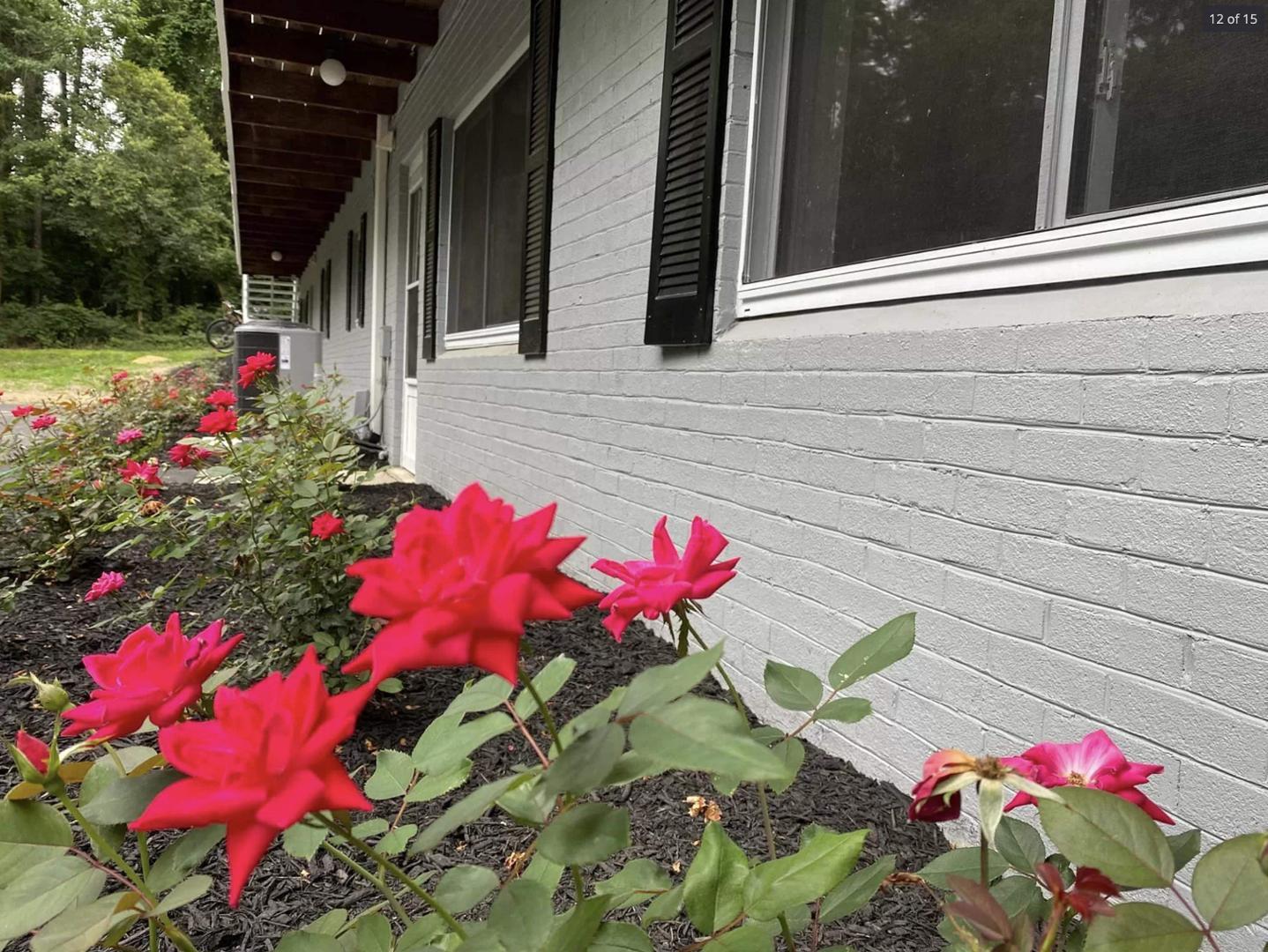 1416 Old Lystra Road, Unit 2 Chapel Hill, NC 27517 - Photo 12 of 12 a view of a flower