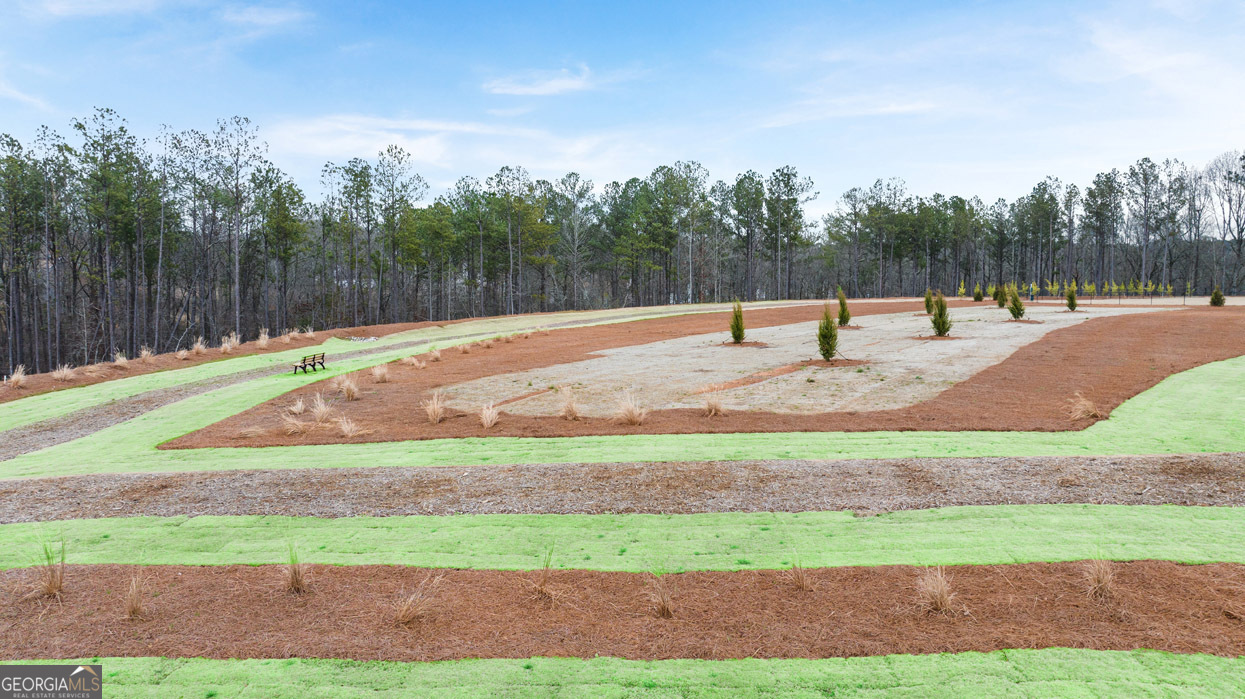 265 Sound Circle, Unit 152 Stockbridge, GA 30281 - Photo 47 of 54 a view of a park