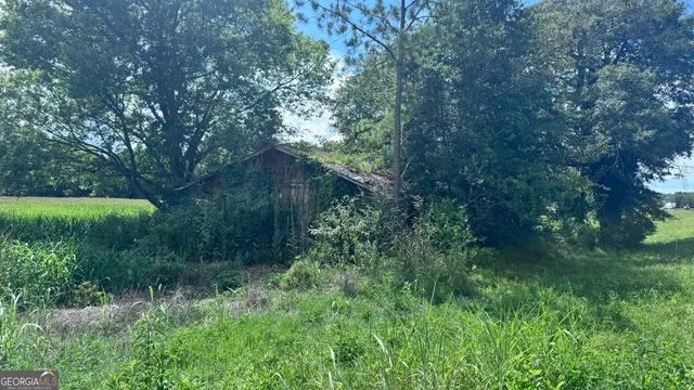 a backyard of a house with lots of green space
