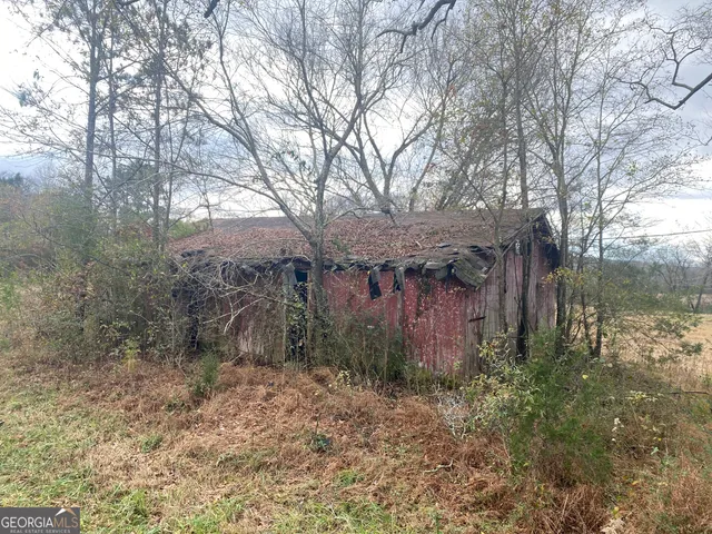 a view of a tree with a yard