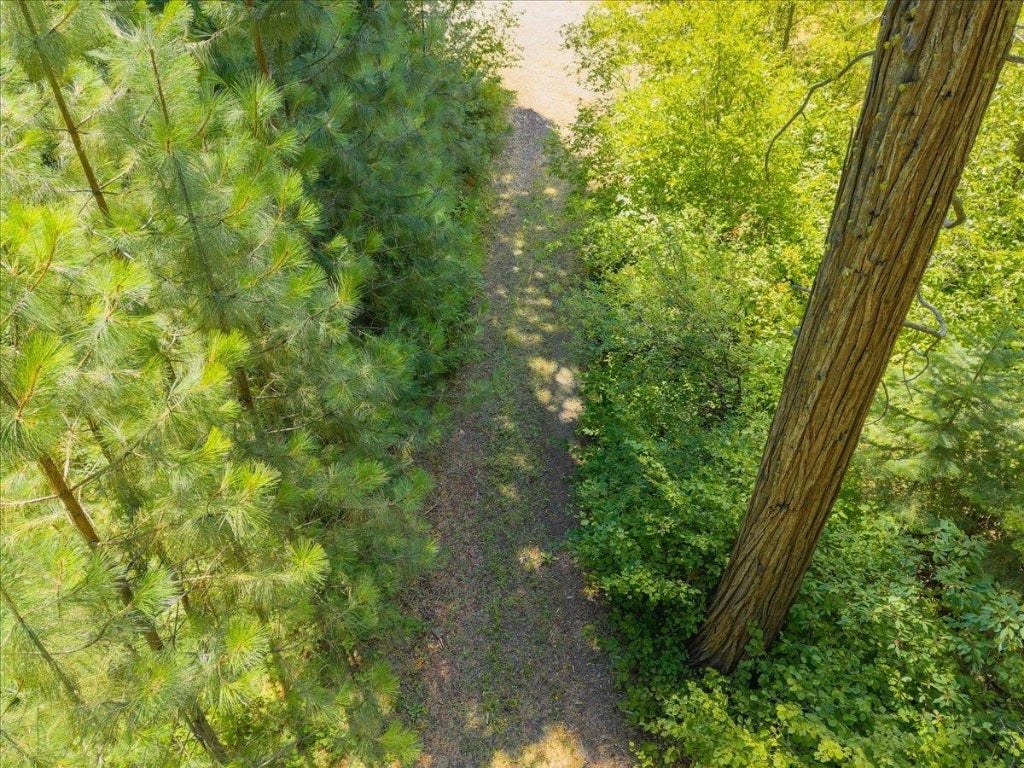 Lot #31 North Shasta Ranch Road North Mount Shasta, CA 96067 - Photo 5 of 11 Gallery Image 5
