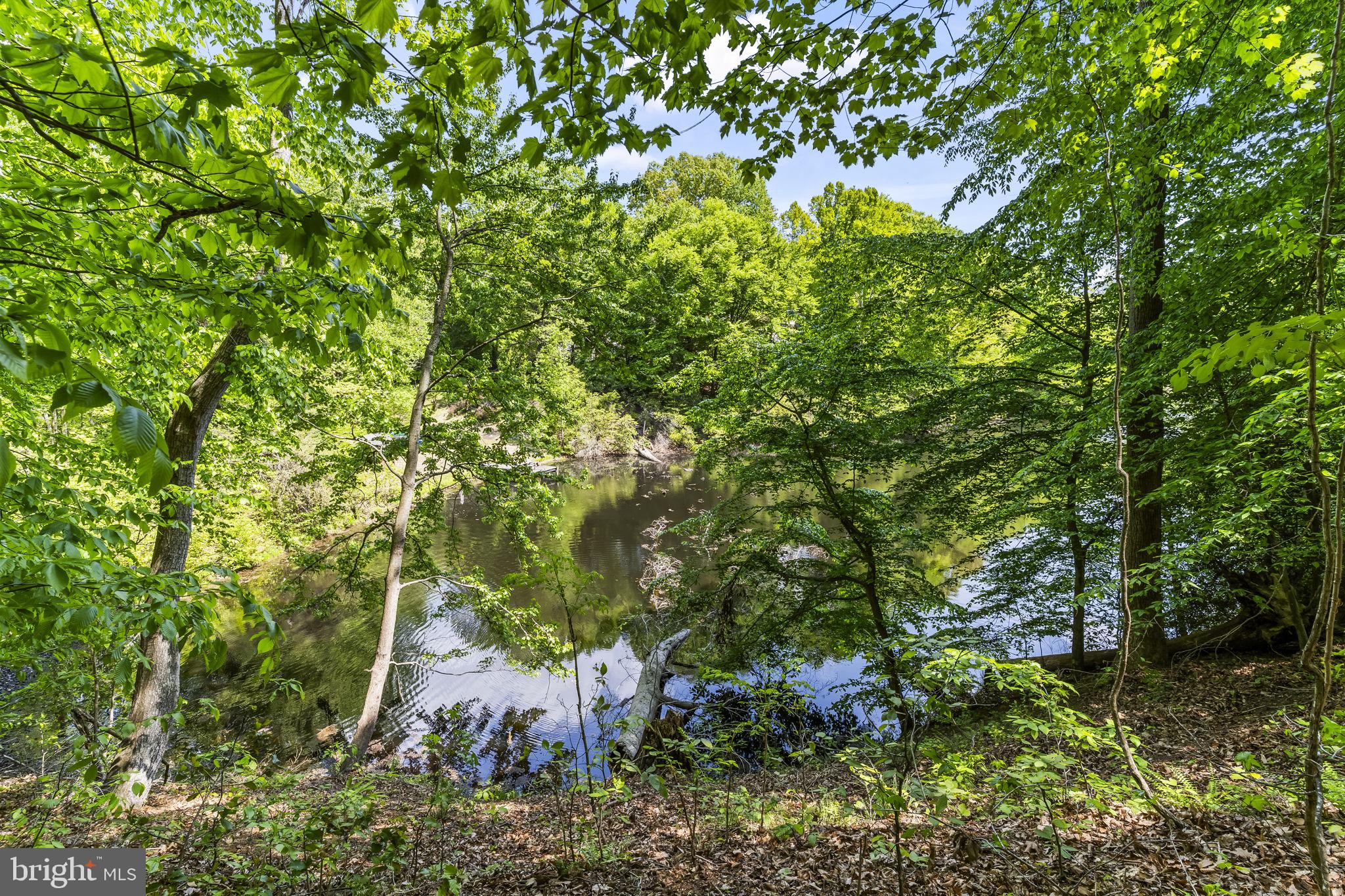 4111 Buck Board Lane Dunkirk, MD 20754 - Photo 58 of 74 a backyard of a house with lots of green space