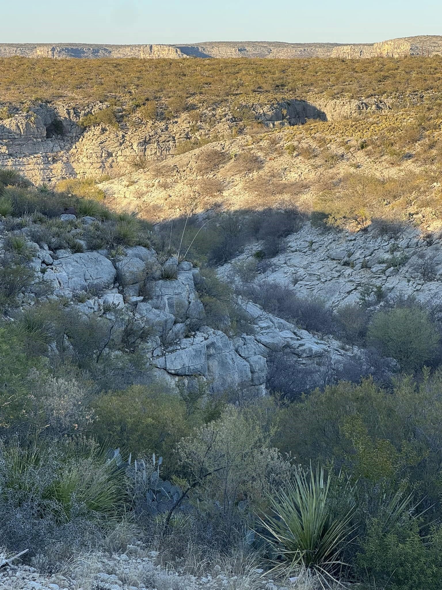 Views of Indian Cliffs from back patio!