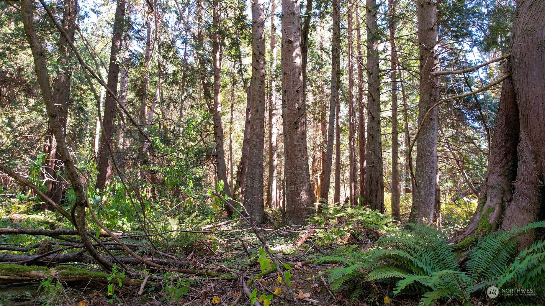 6140 Birch Point Road Blaine, WA 98230 - Photo 11 of 16 Gallery Image 11