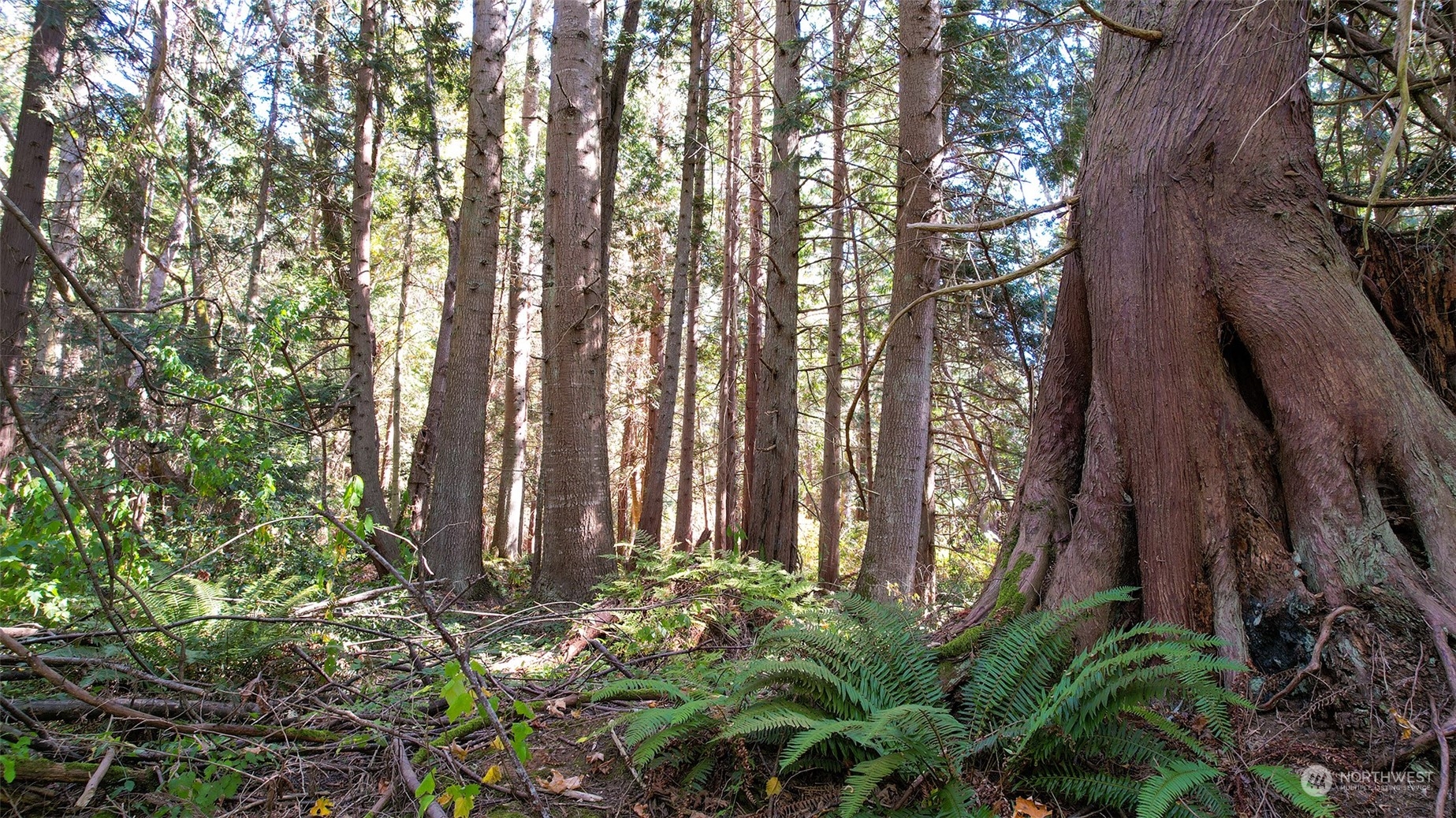 6140 Birch Point Road Blaine, WA 98230 - Photo 12 of 16 Gallery Image 12