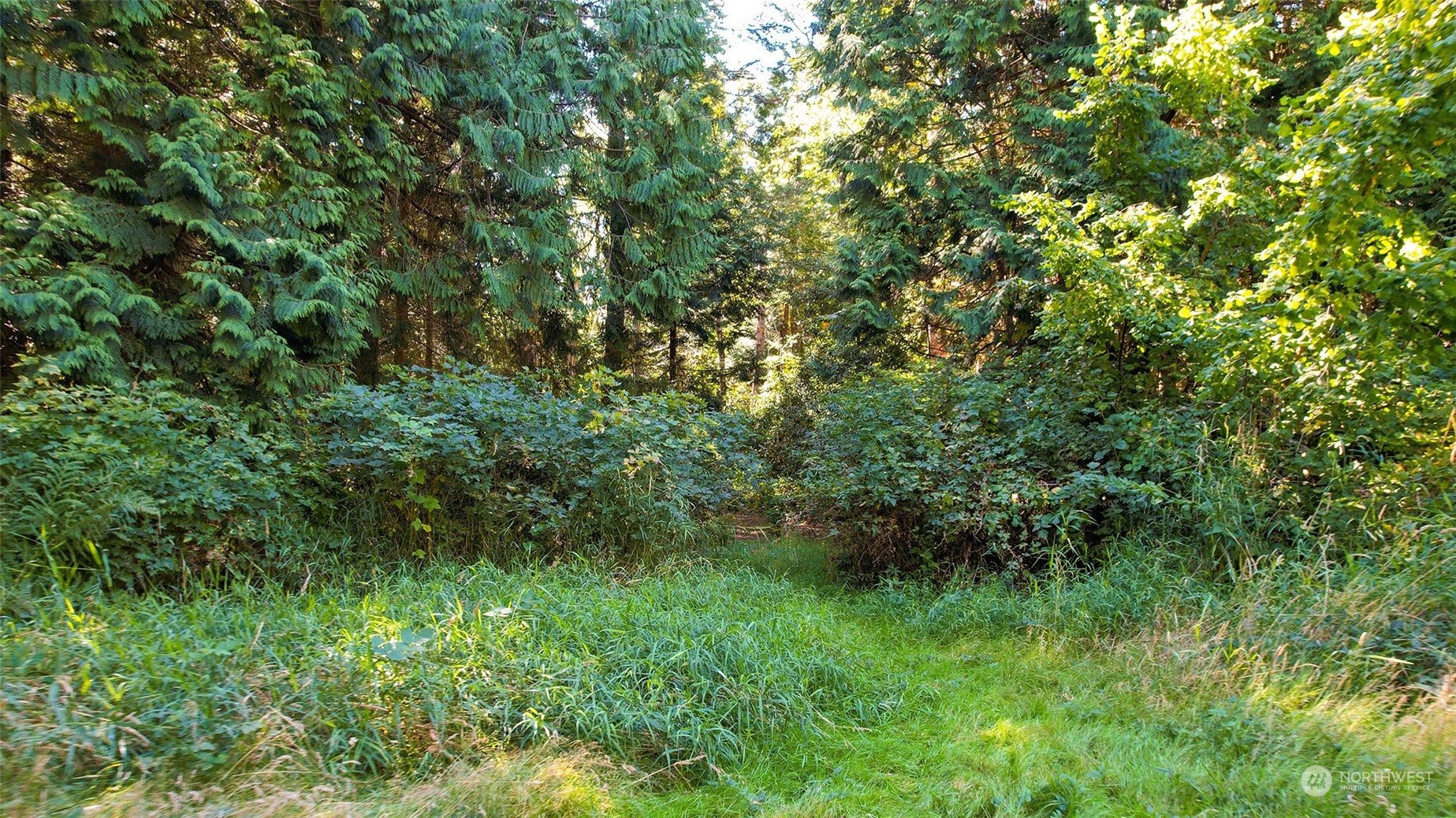 6140 Birch Point Road Blaine, WA 98230 - Photo 15 of 16 Gallery Image 15