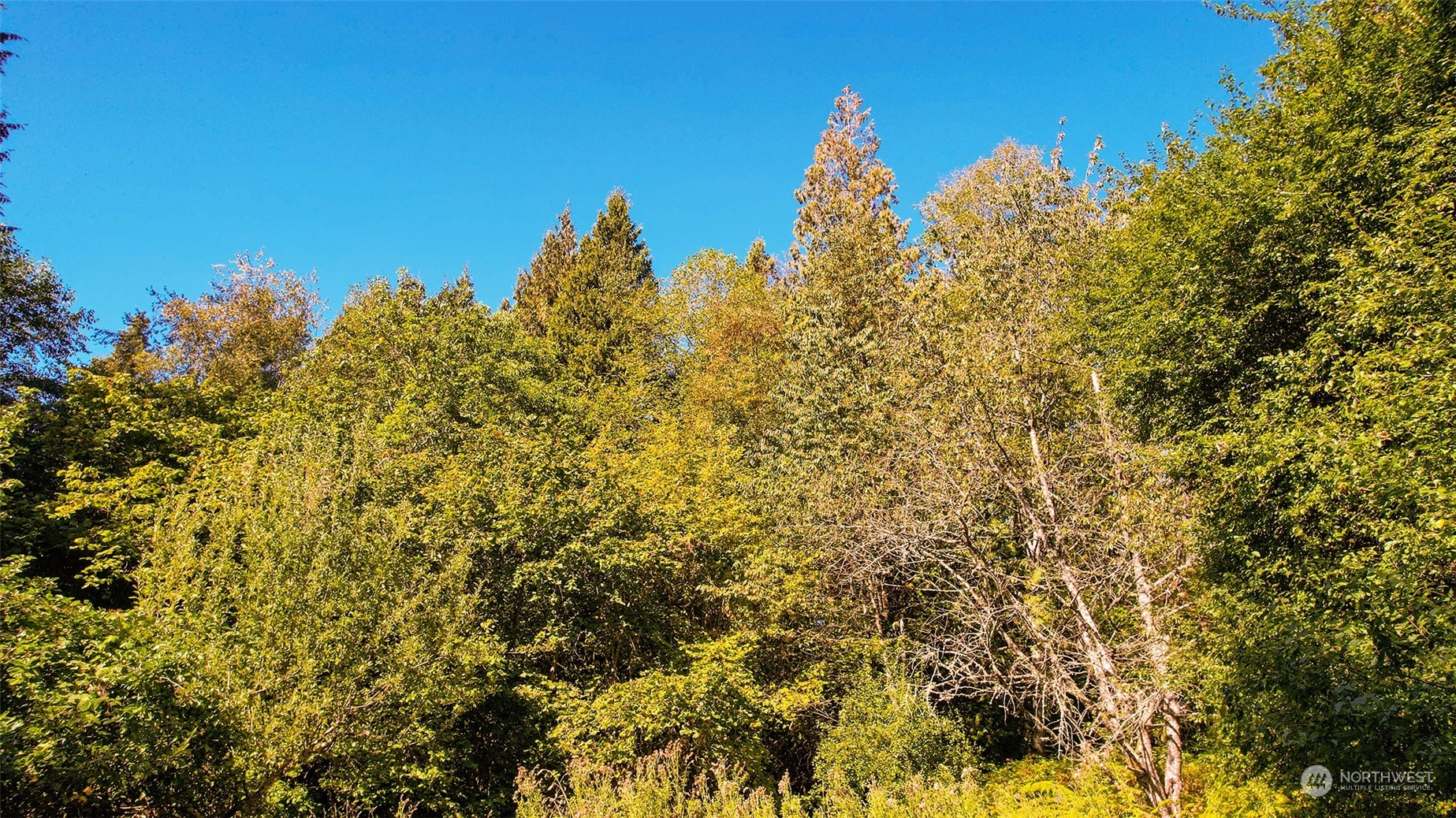 6140 Birch Point Road Blaine, WA 98230 - Photo 16 of 16 Gallery Image 16