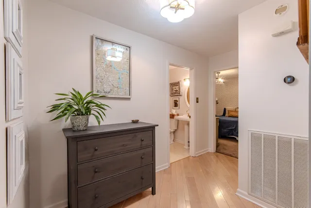 a bathroom with a potted plant on a sink and a mirror