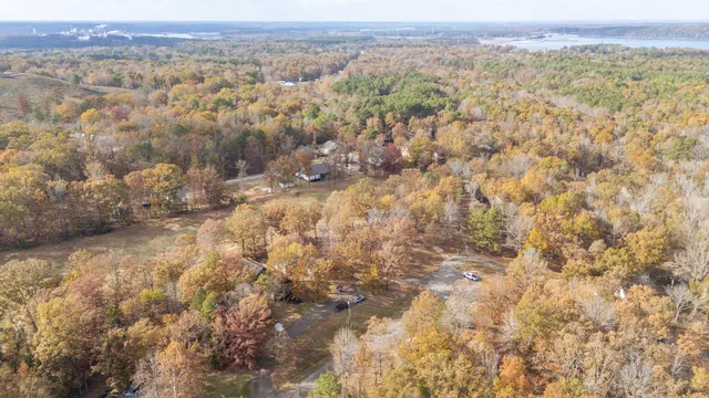 a view of a city with lush green forest