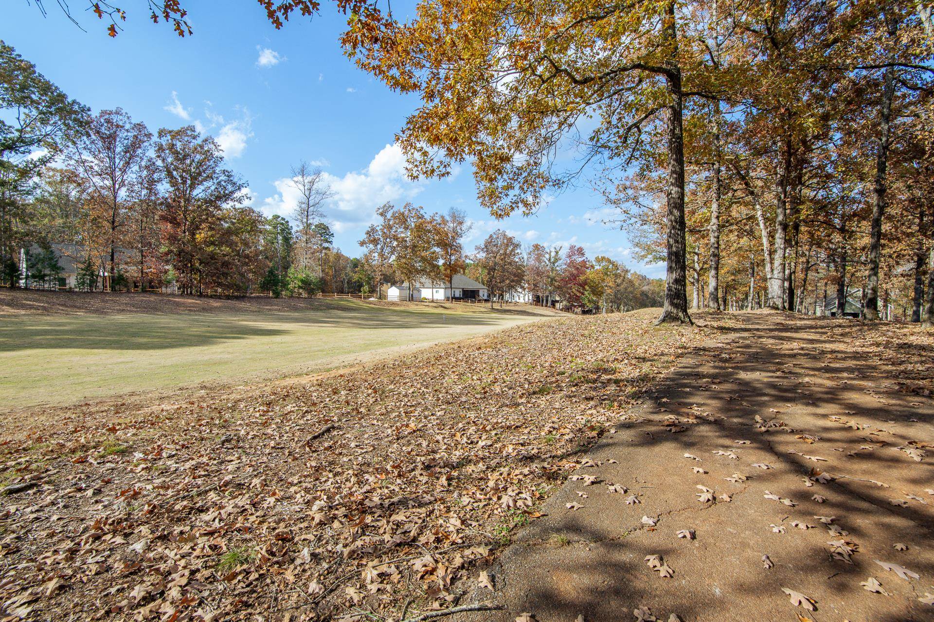 215 St Andrew's Court Counce, TN 38326 - Photo 37 of 37 a view of an ocean beach