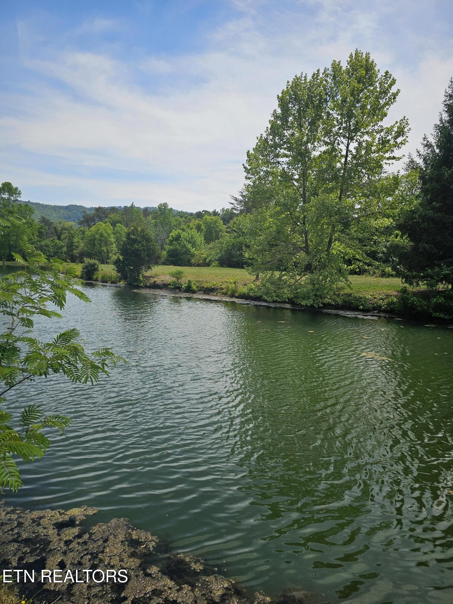 275 Republican Hill Road Newcomb, TN 37819 - Photo 16 of 34 Gallery Image 16