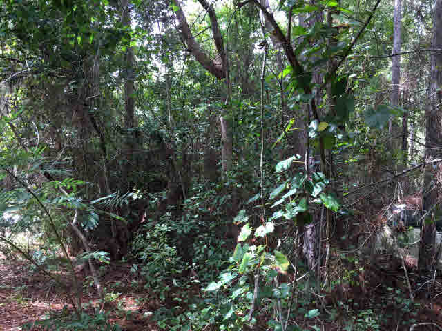 6941 Magnolia Springs Highway Foley, AL 36535 - Photo 10 of 44