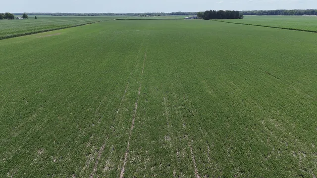 $1,370,250 | 1275 North 640 East Road, Onarga, IL 60955