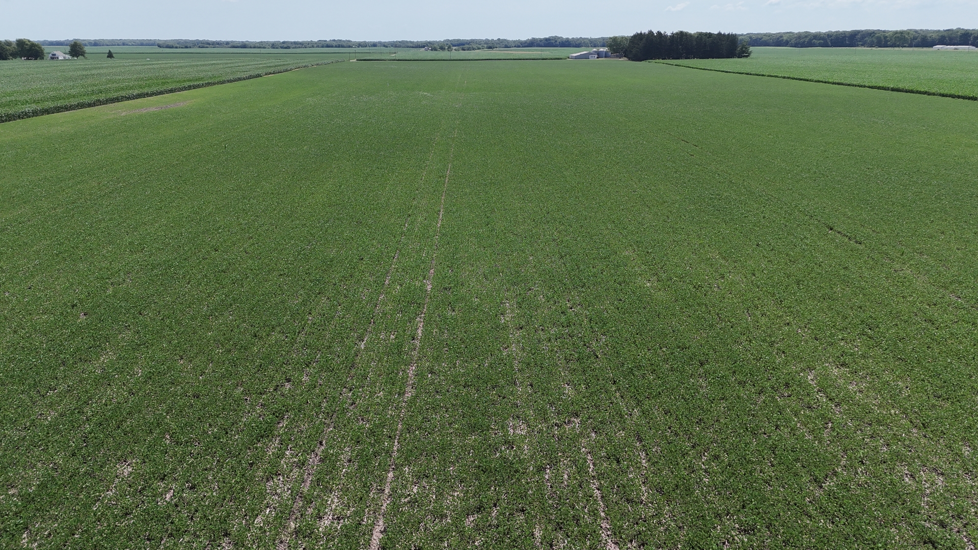 1275 North 640 East Road Onarga, IL 60955 - Photo 6 of 7