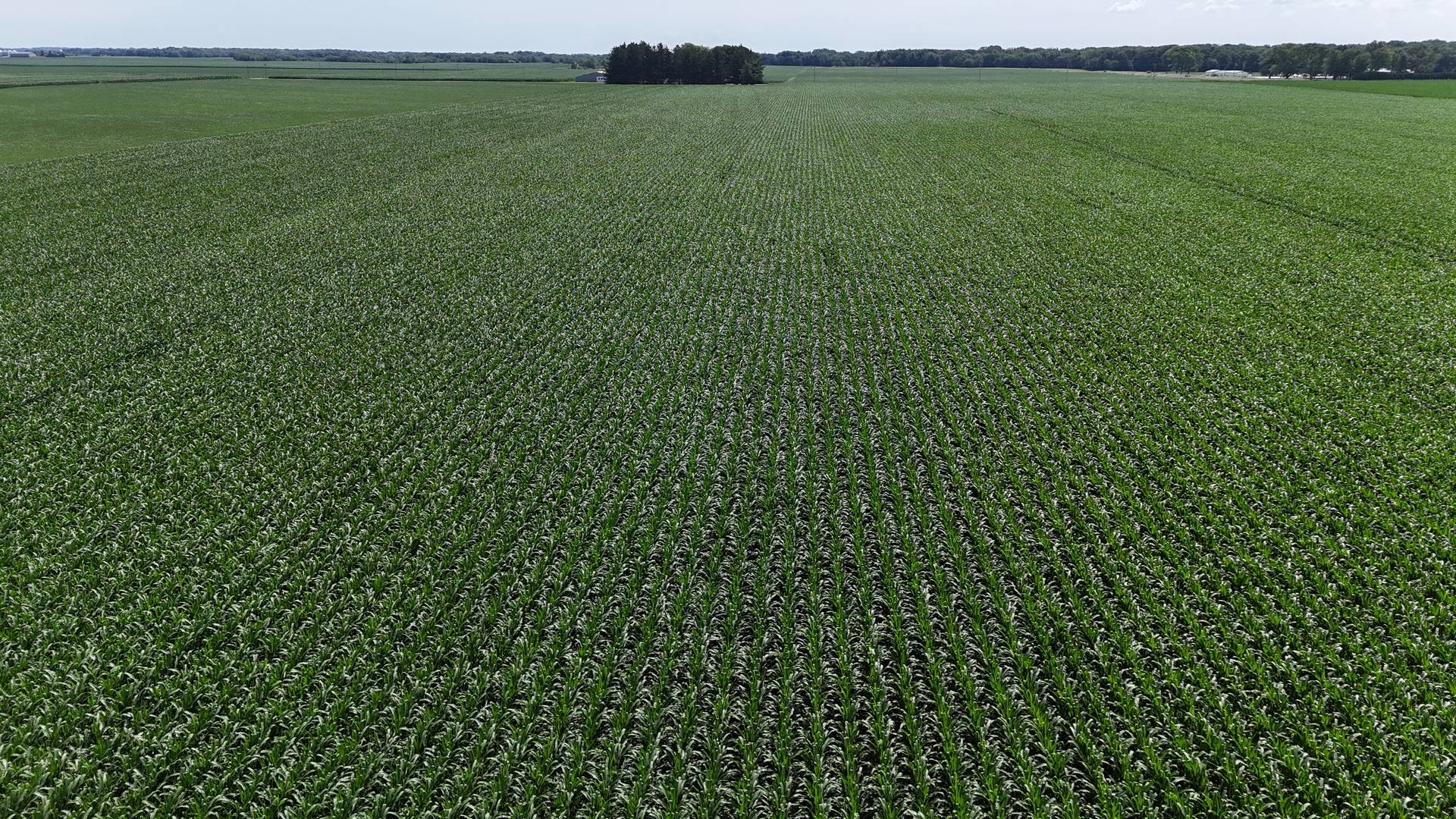 1275 North 640 East Road Onarga, IL 60955 - Photo 7 of 7