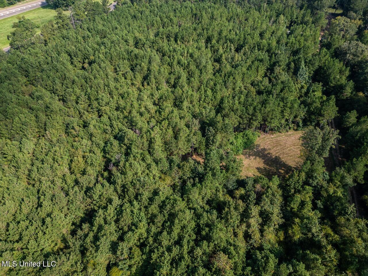 4069 Dixie Garden Road Wesson, MS 39191 - Photo 7 of 45 DJI_0507 Large